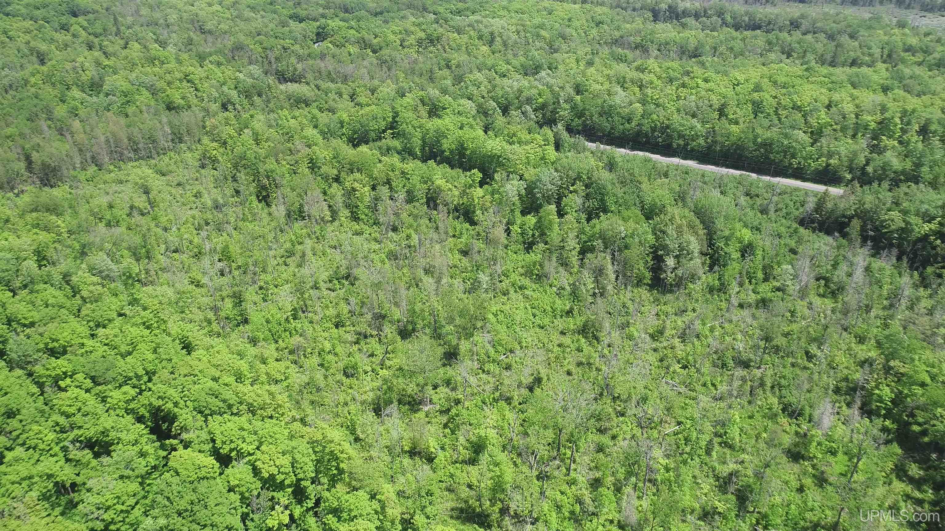 40-acres 40-acres Maple Grove Road Skandia, MI 49885 - Photo 8 of 19