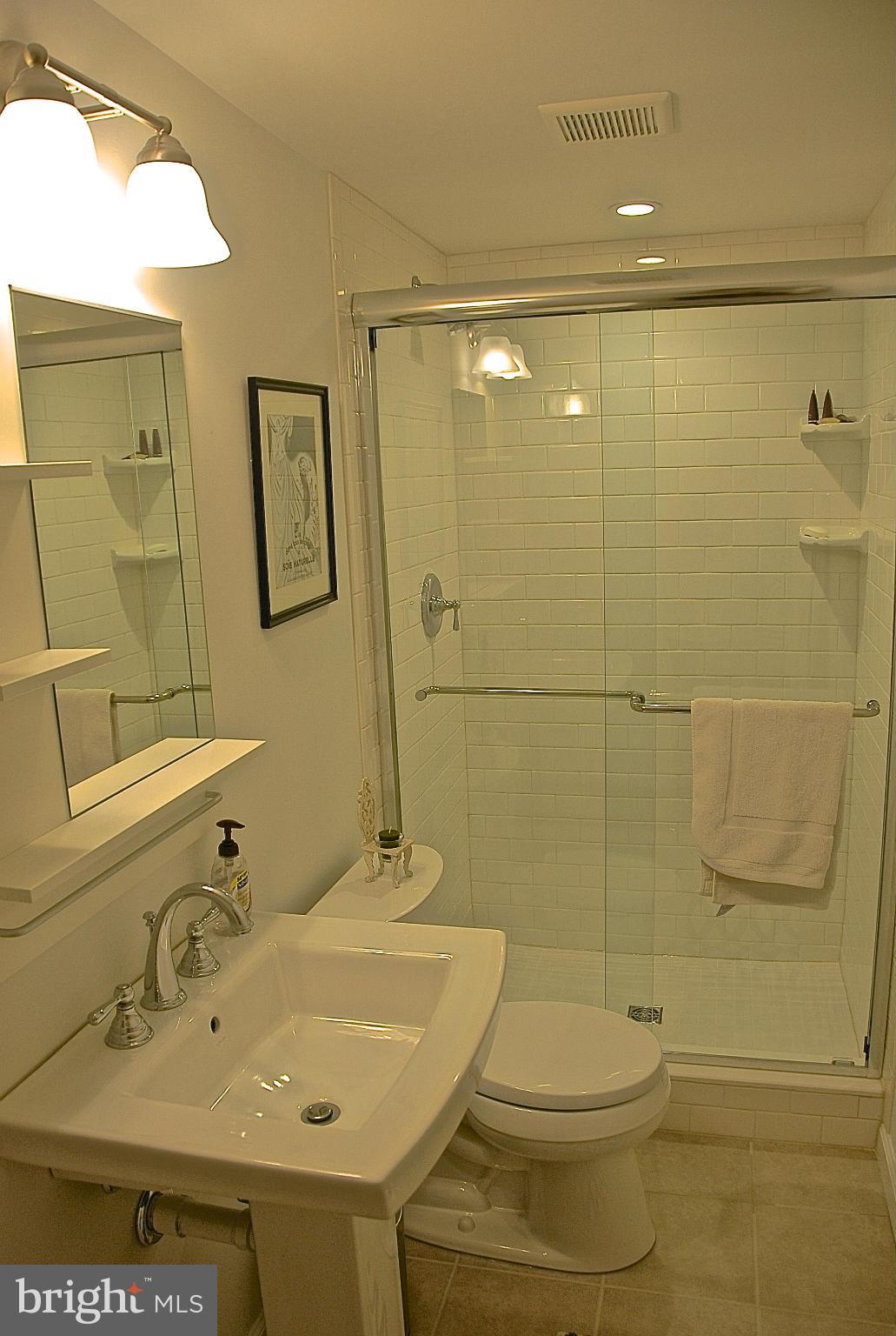 1478 Roundleaf Court Reston, VA 20190 - Photo 16 of 17 New Basement Bathroom