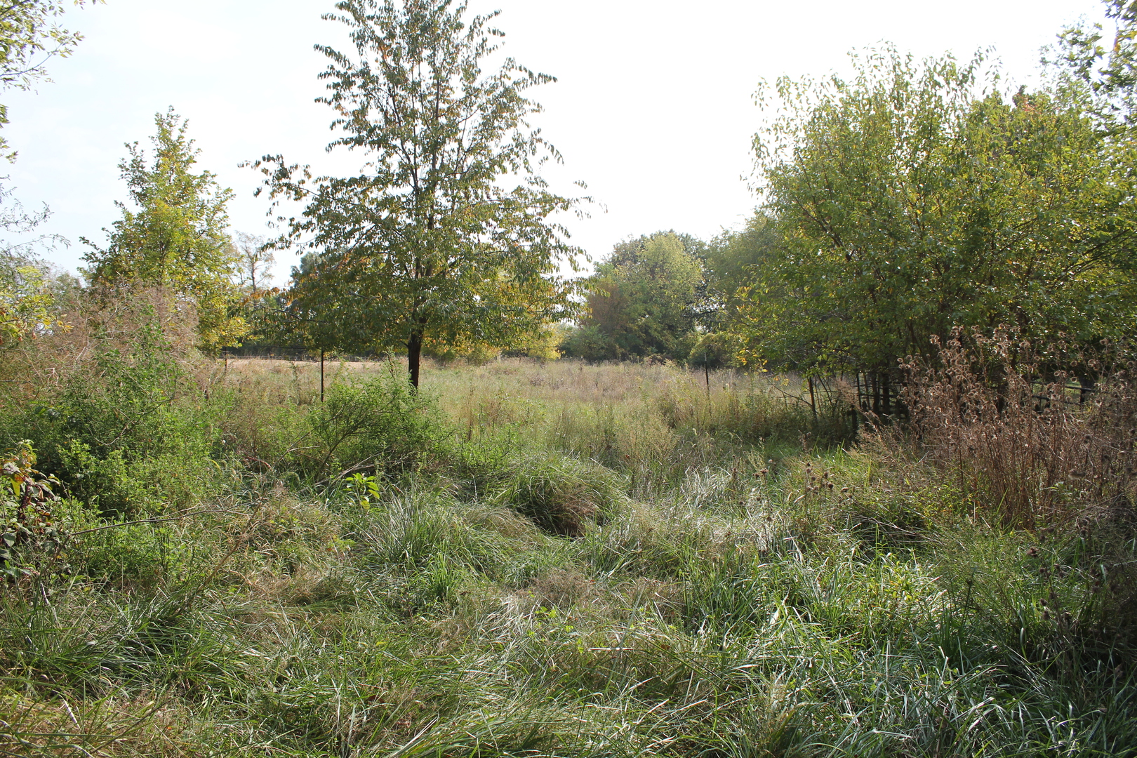 13279 Lovers Lane Road Princeton, IL 61356 - Photo 4 of 7
