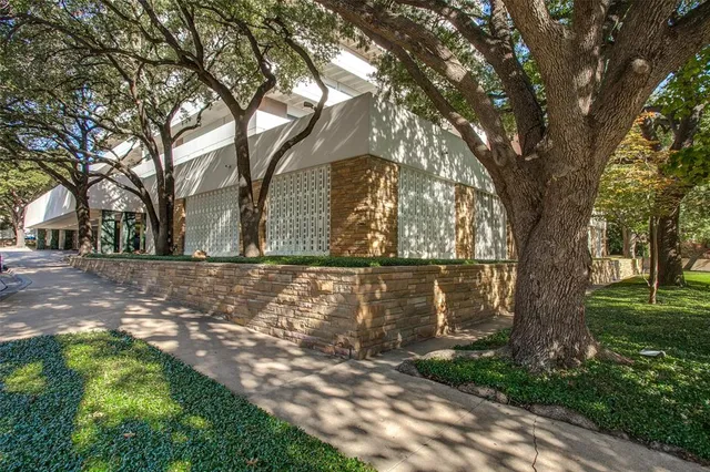 a view of backyard space