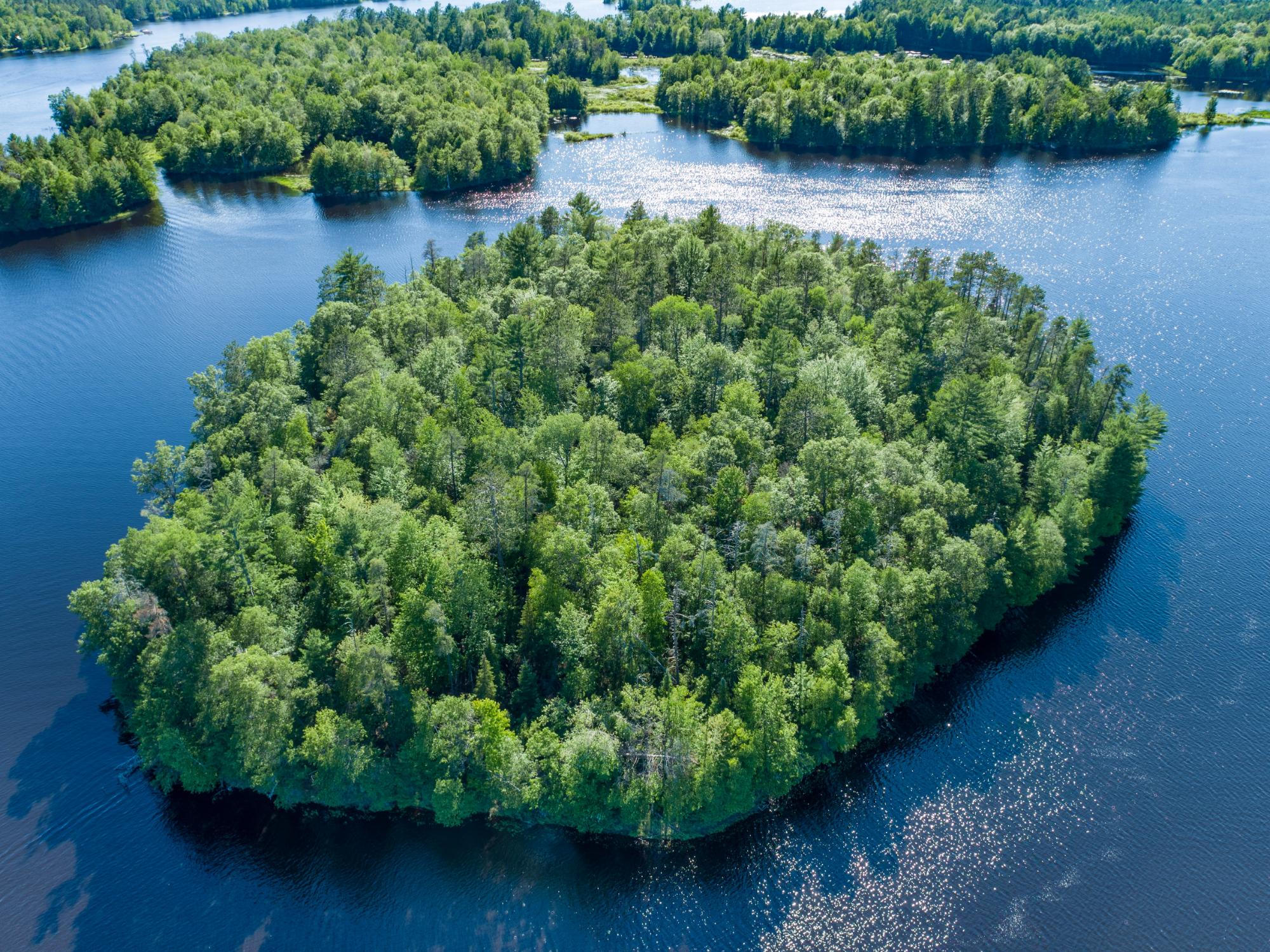 Lots Schoettler Road Tomahawk, WI 54487 - Photo 11 of 13 Gallery Image 11