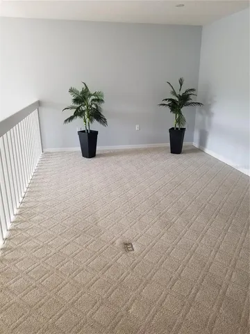 a view of a potted plant on a floor