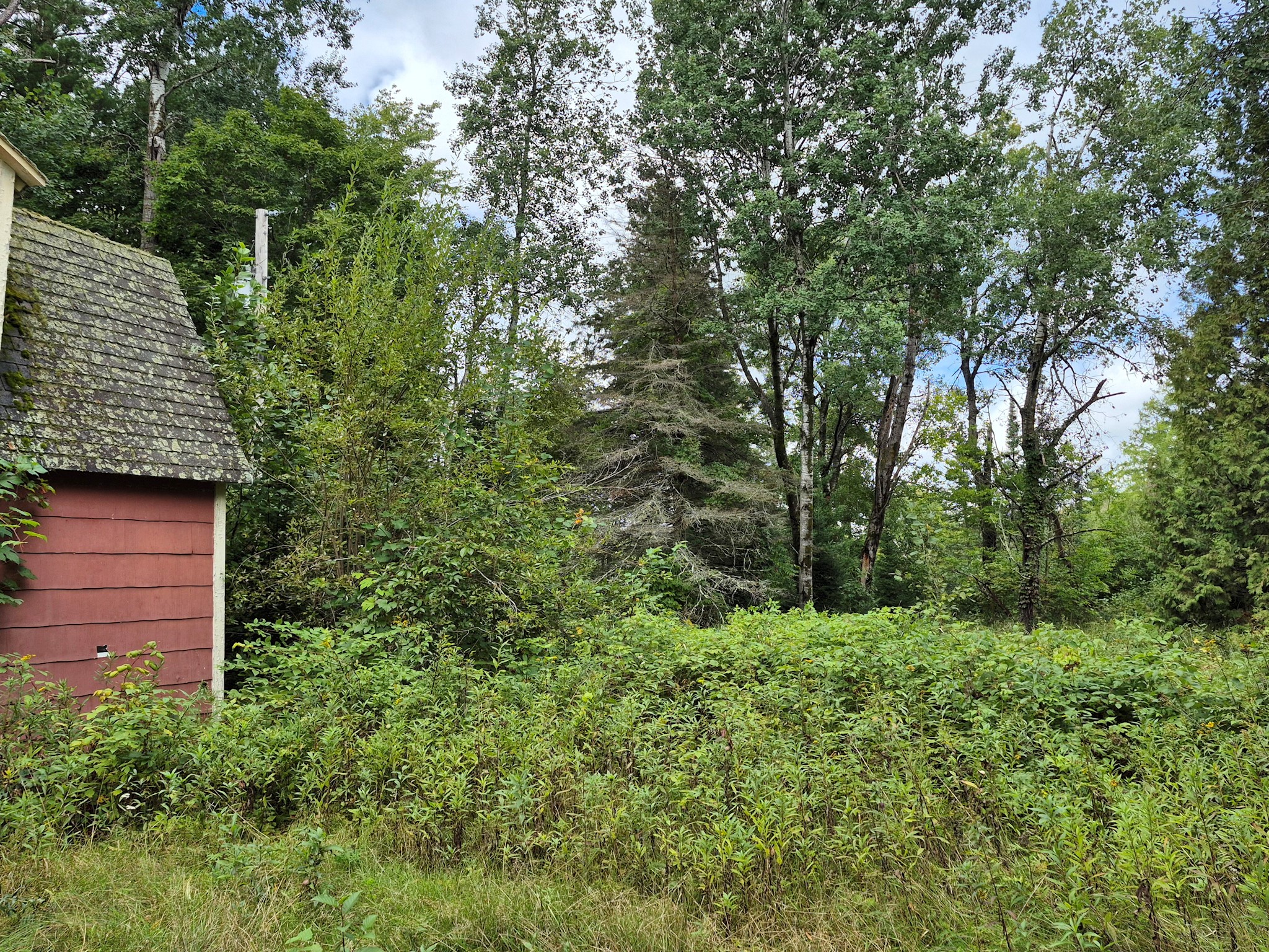 9341 North Nyberg Road Hayward, WI 54843 - Photo 25 of 32