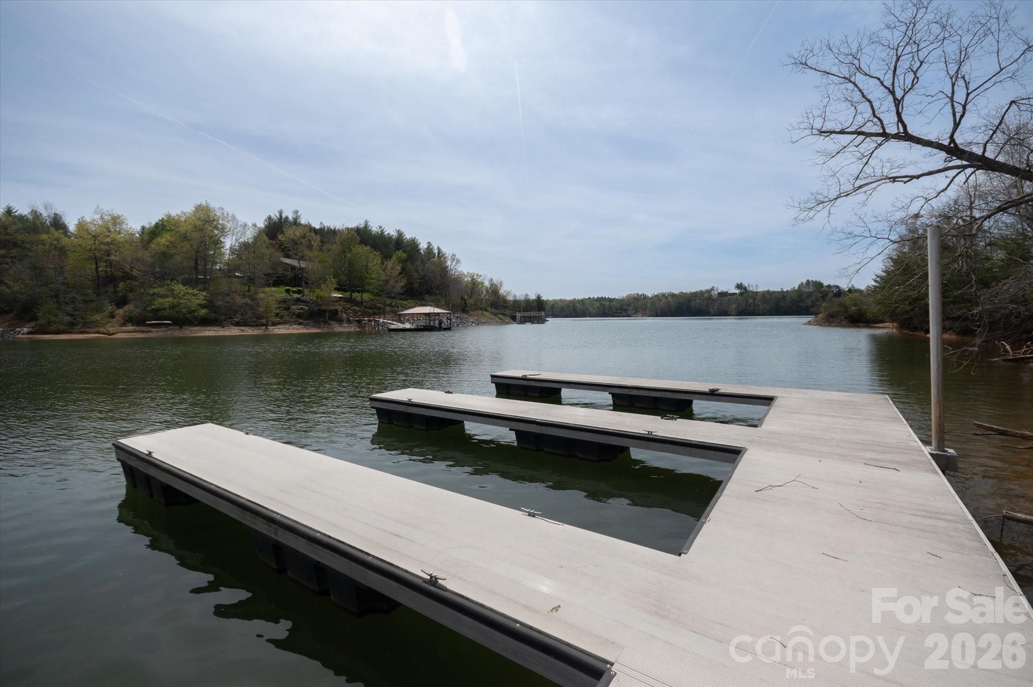 103 Big Tree Way Nebo, NC 28761 - Photo 12 of 15