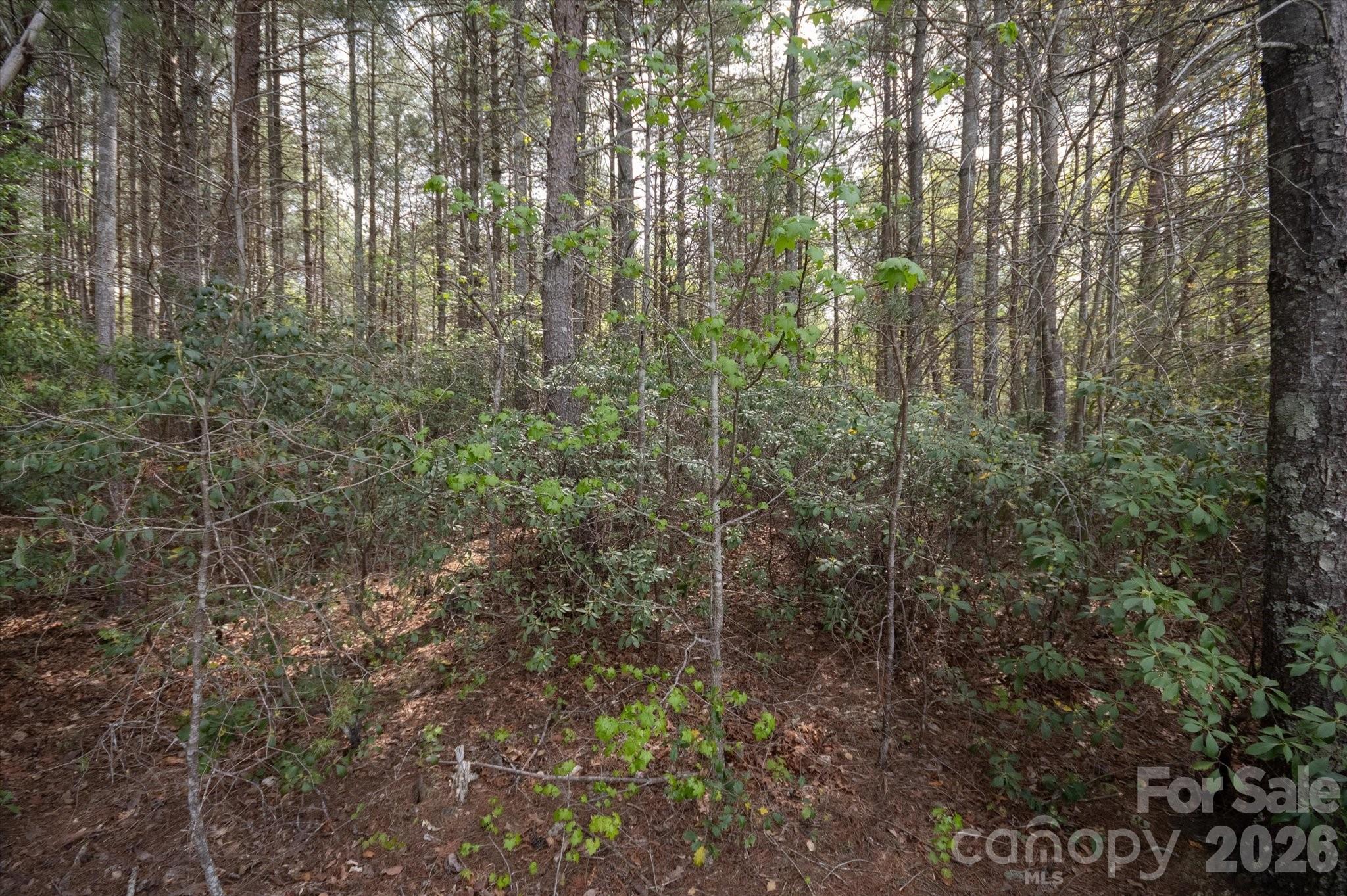 103 Big Tree Way Nebo, NC 28761 - Photo 4 of 15