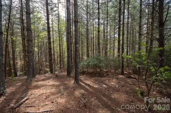 $179,000 | 103 Big Tree Way, Nebo, NC 28761