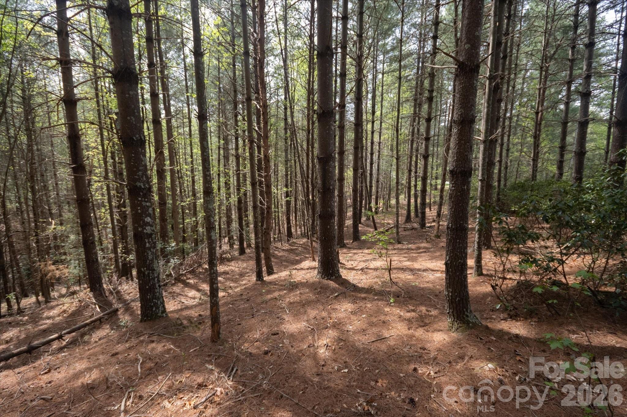 103 Big Tree Way Nebo, NC 28761 - Photo 7 of 15