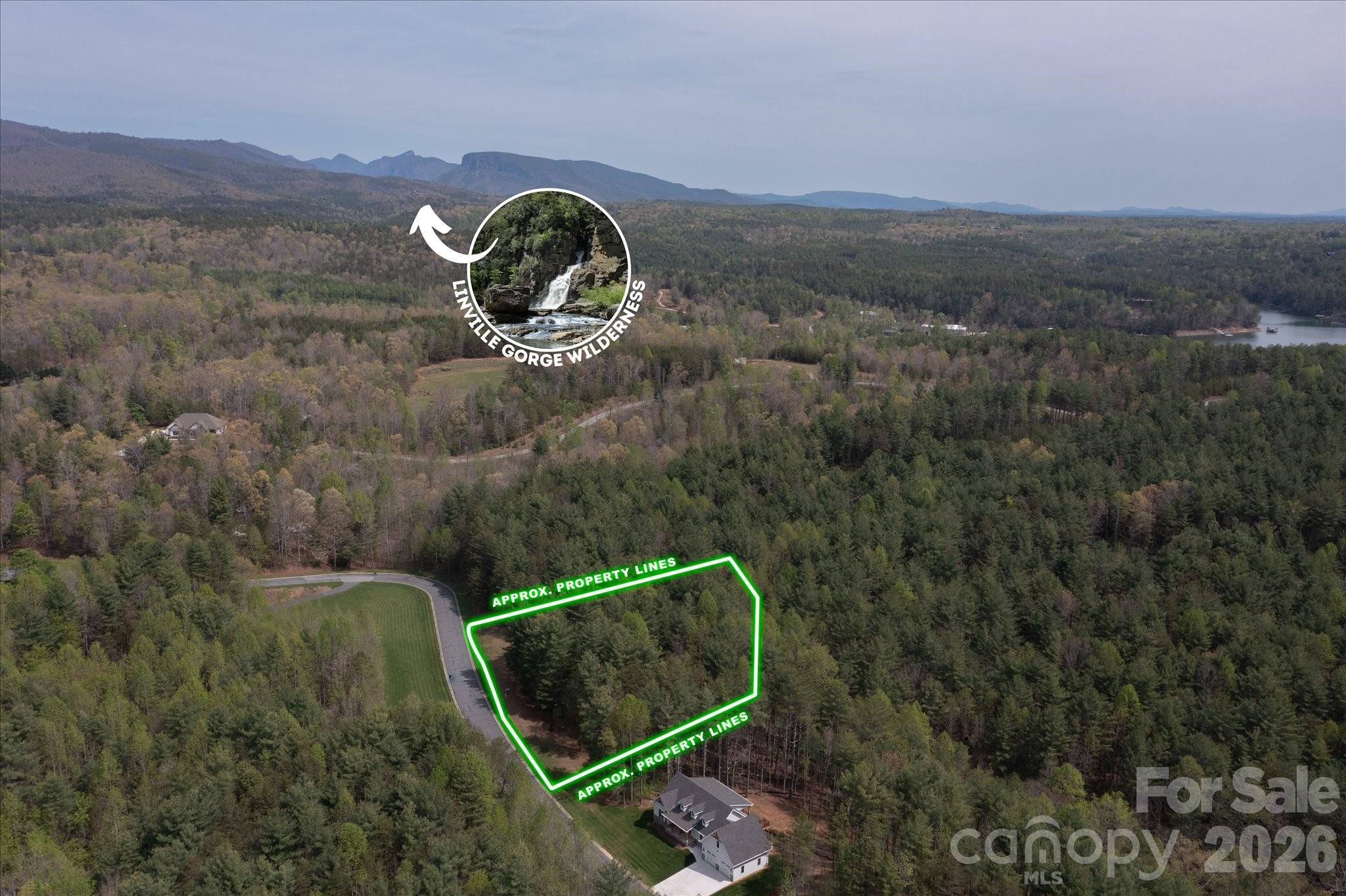 103 Big Tree Way Nebo, NC 28761 - Photo 9 of 15