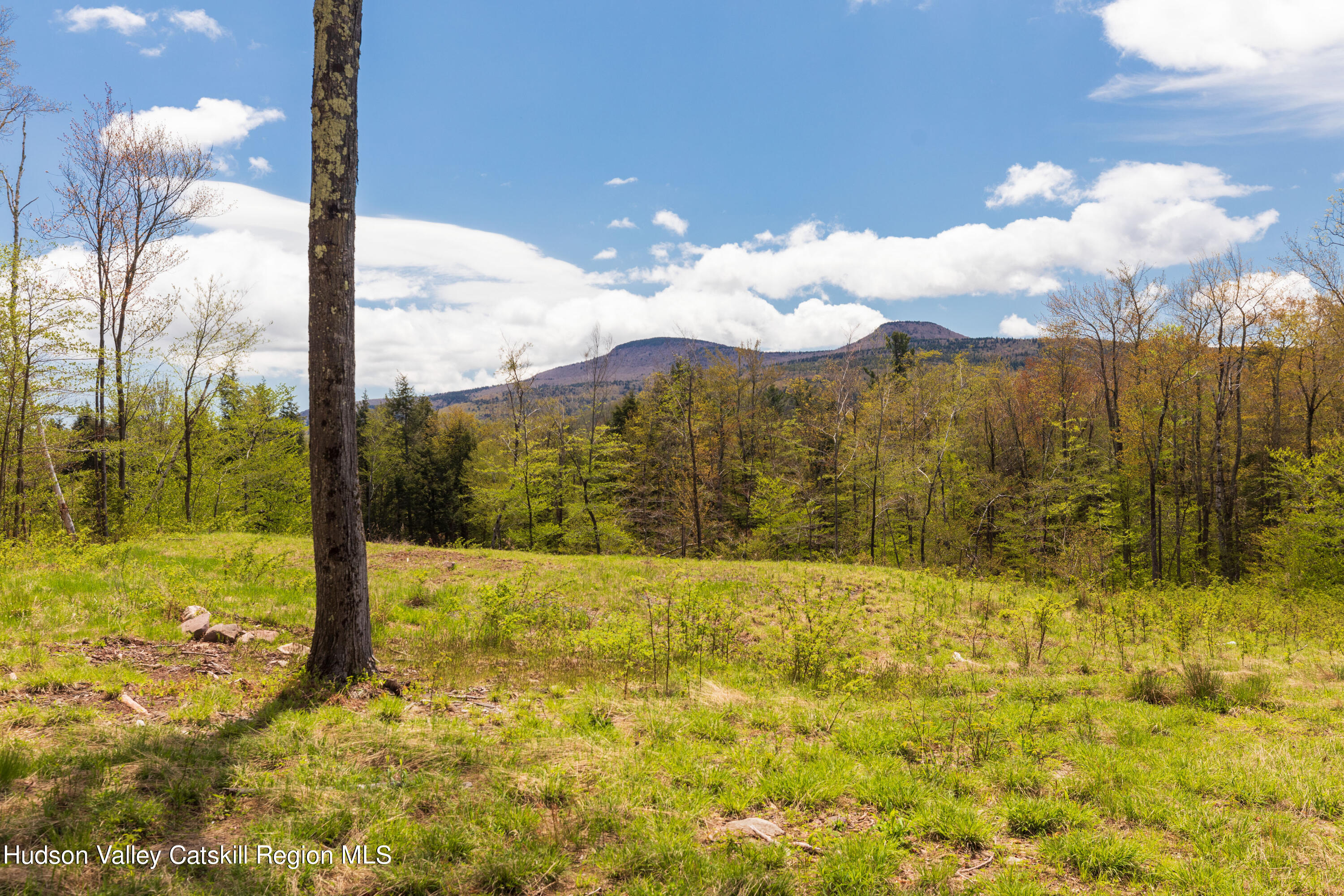 2 Legg Road Haines Falls, NY 12436 - Photo 1 of 8 Mountain views
