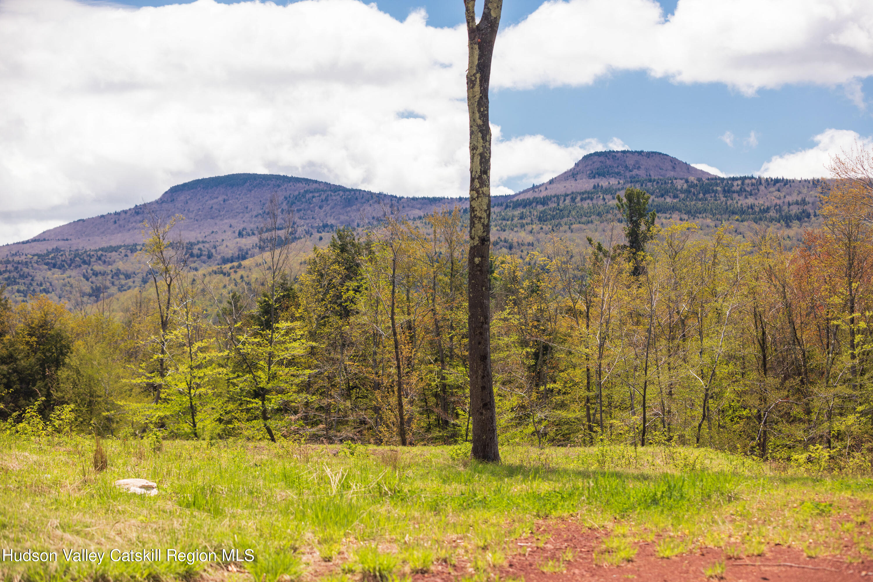 2 Legg Road Haines Falls, NY 12436 - Photo 2 of 8 B