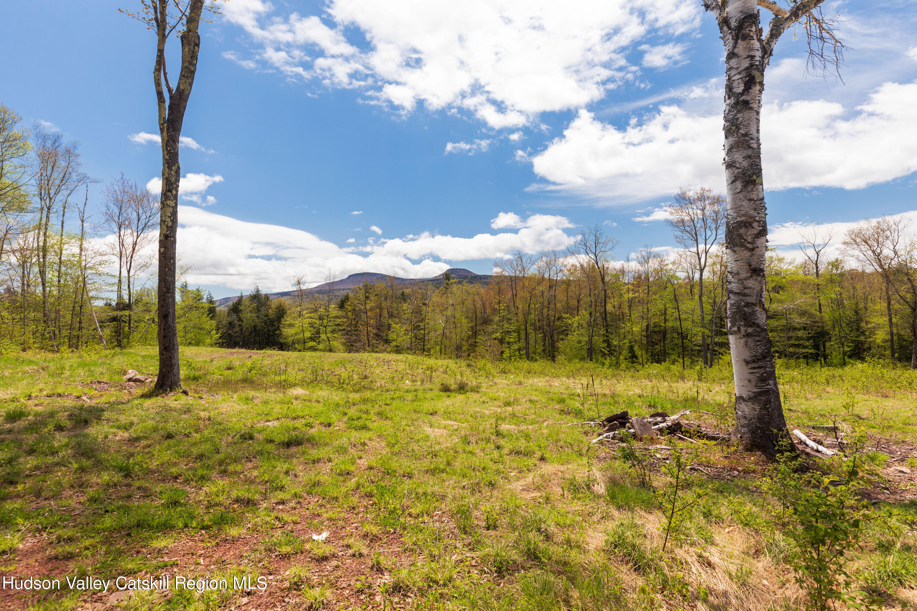 2 Legg Road Haines Falls, NY 12436 - Photo 4 of 8 D