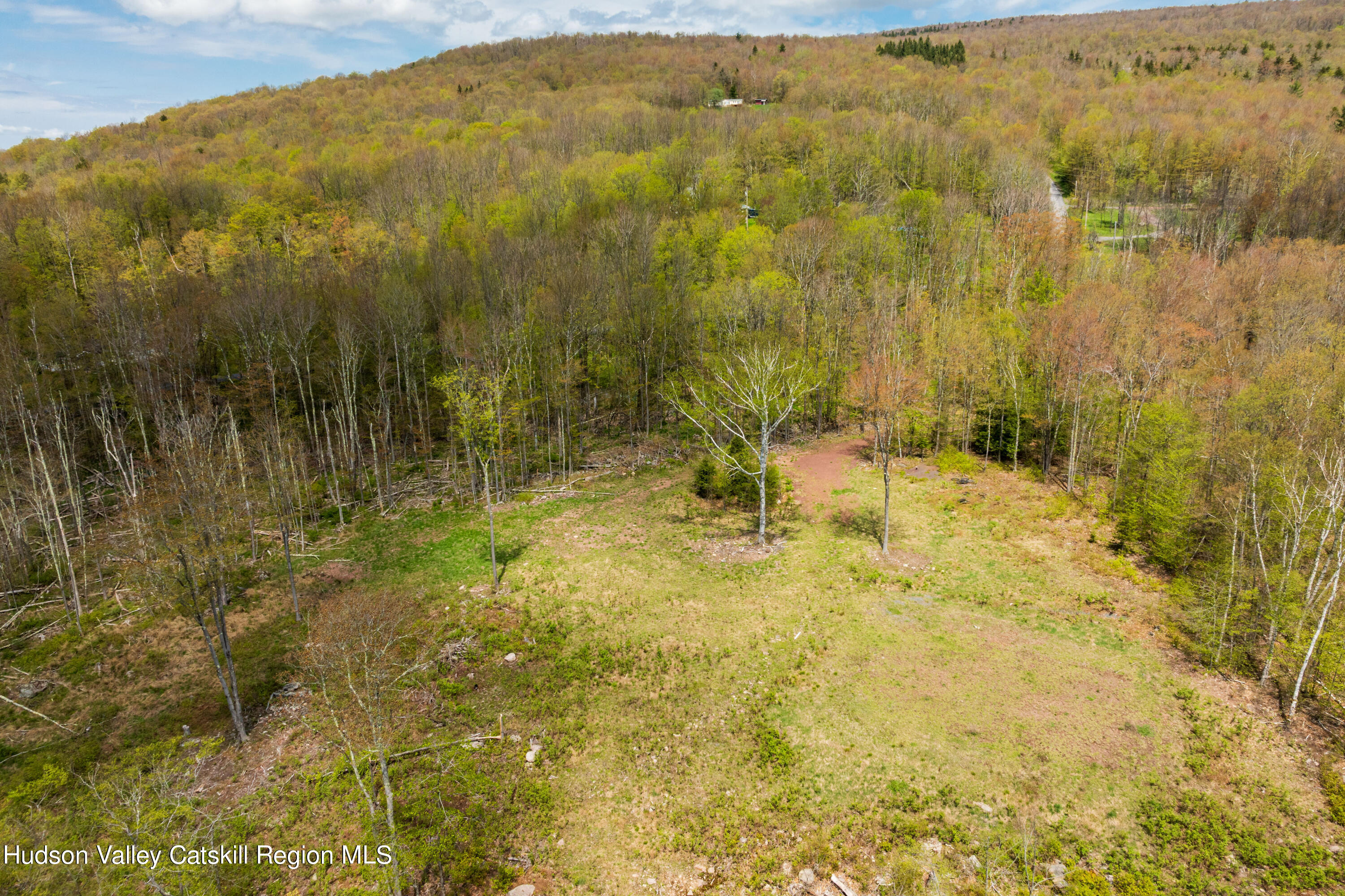 2 Legg Road Haines Falls, NY 12436 - Photo 5 of 8 E