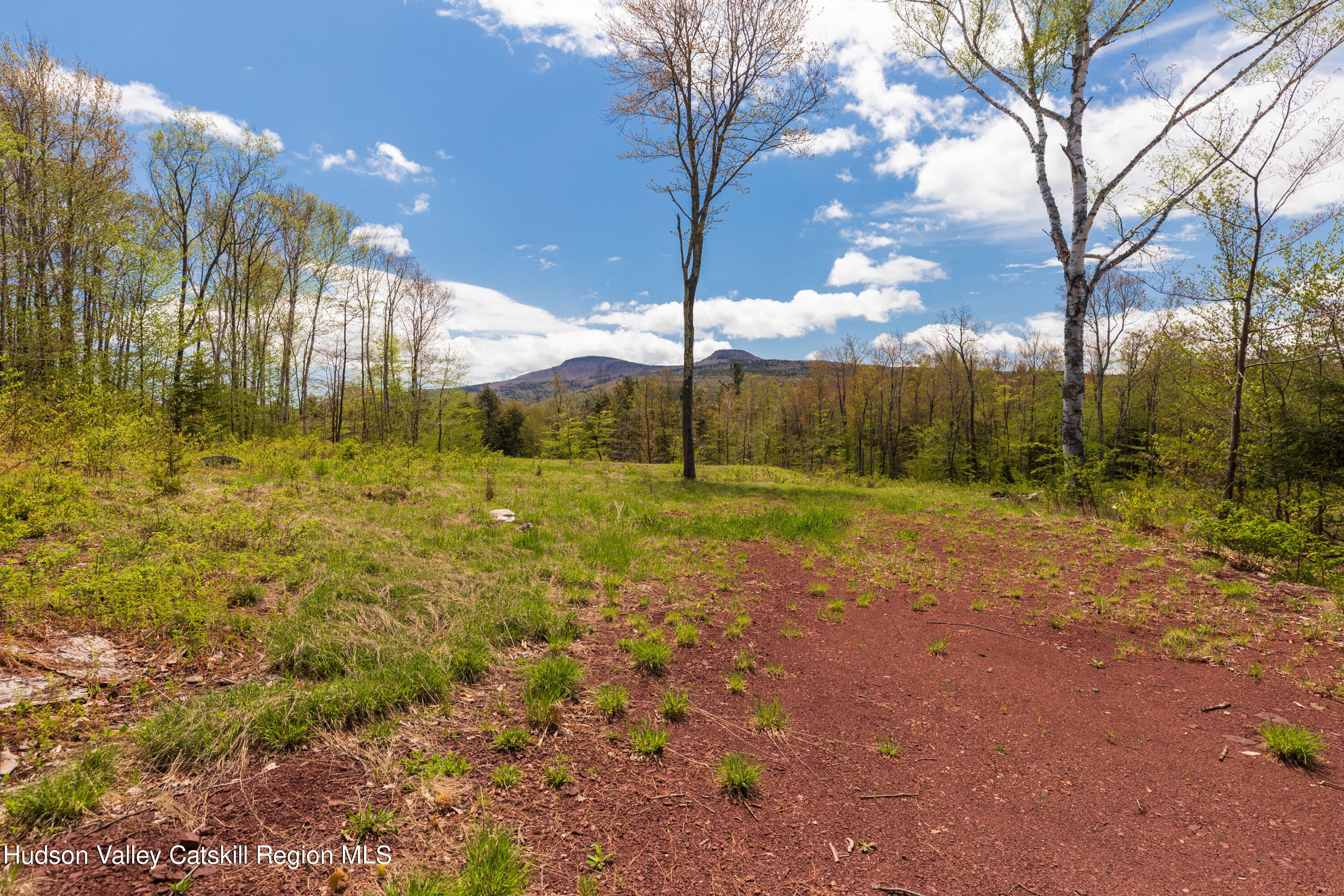 2 Legg Road Haines Falls, NY 12436 - Photo 6 of 8 F