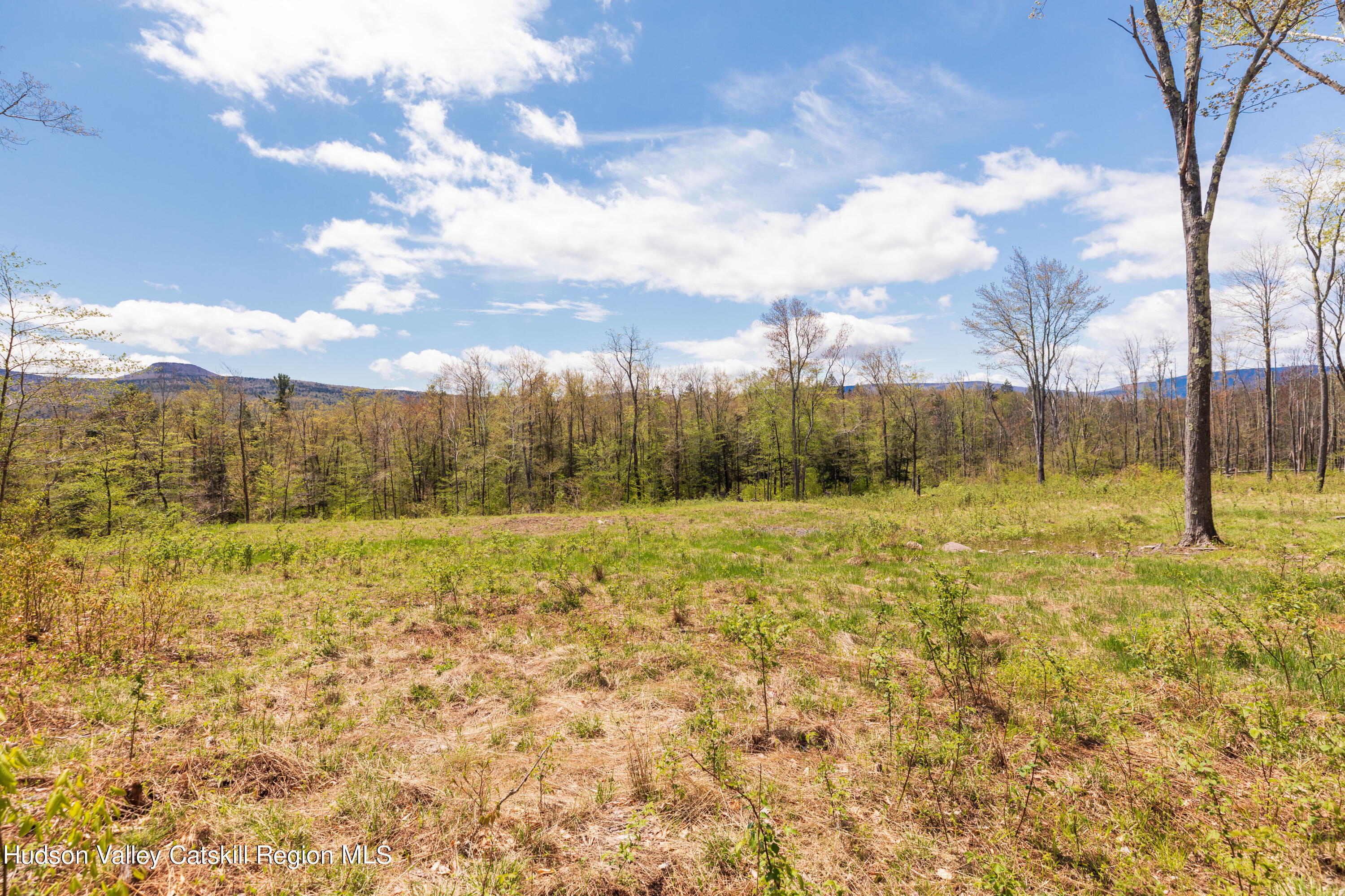 2 Legg Road Haines Falls, NY 12436 - Photo 7 of 8 G