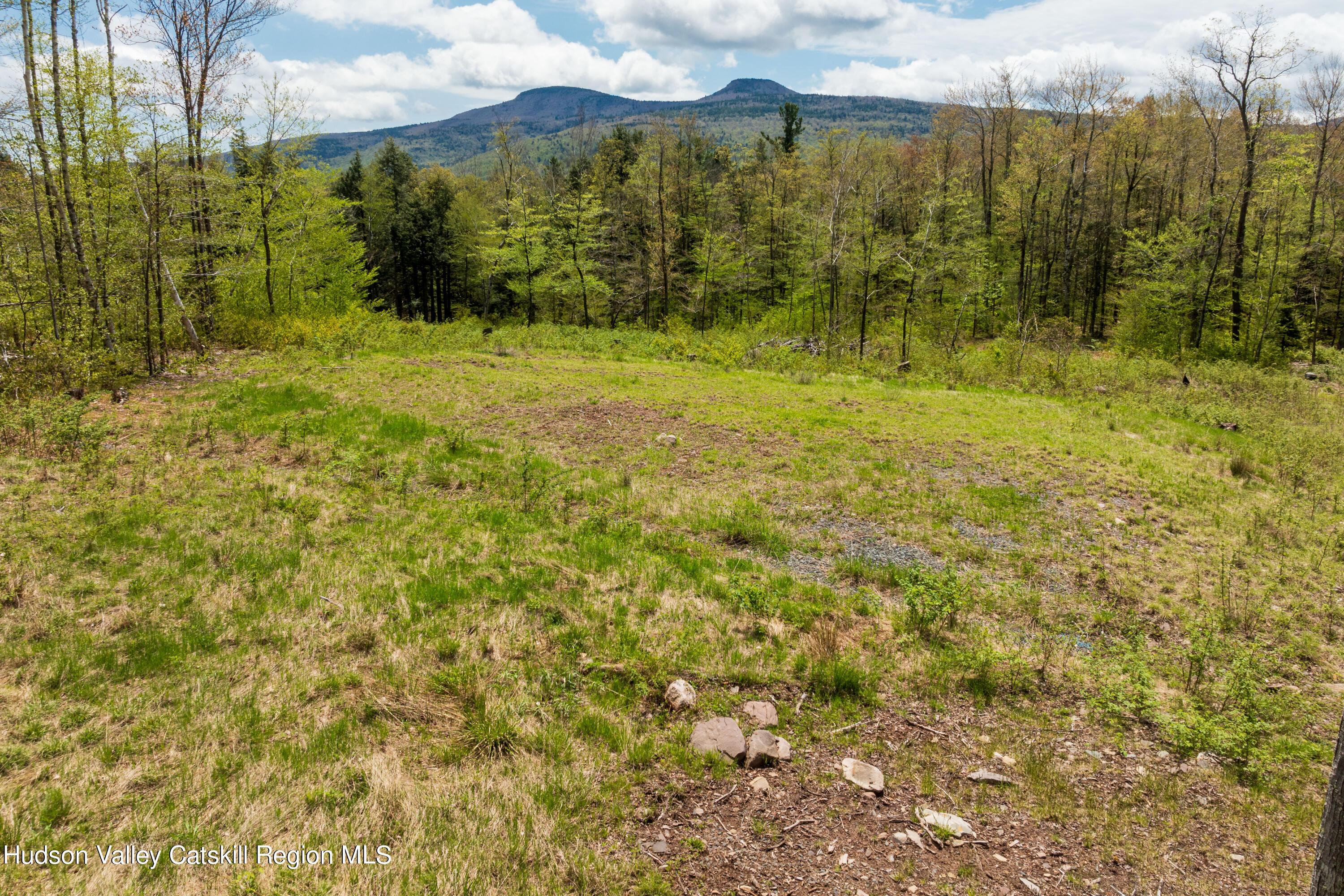 2 Legg Road Haines Falls, NY 12436 - Photo 8 of 8 H