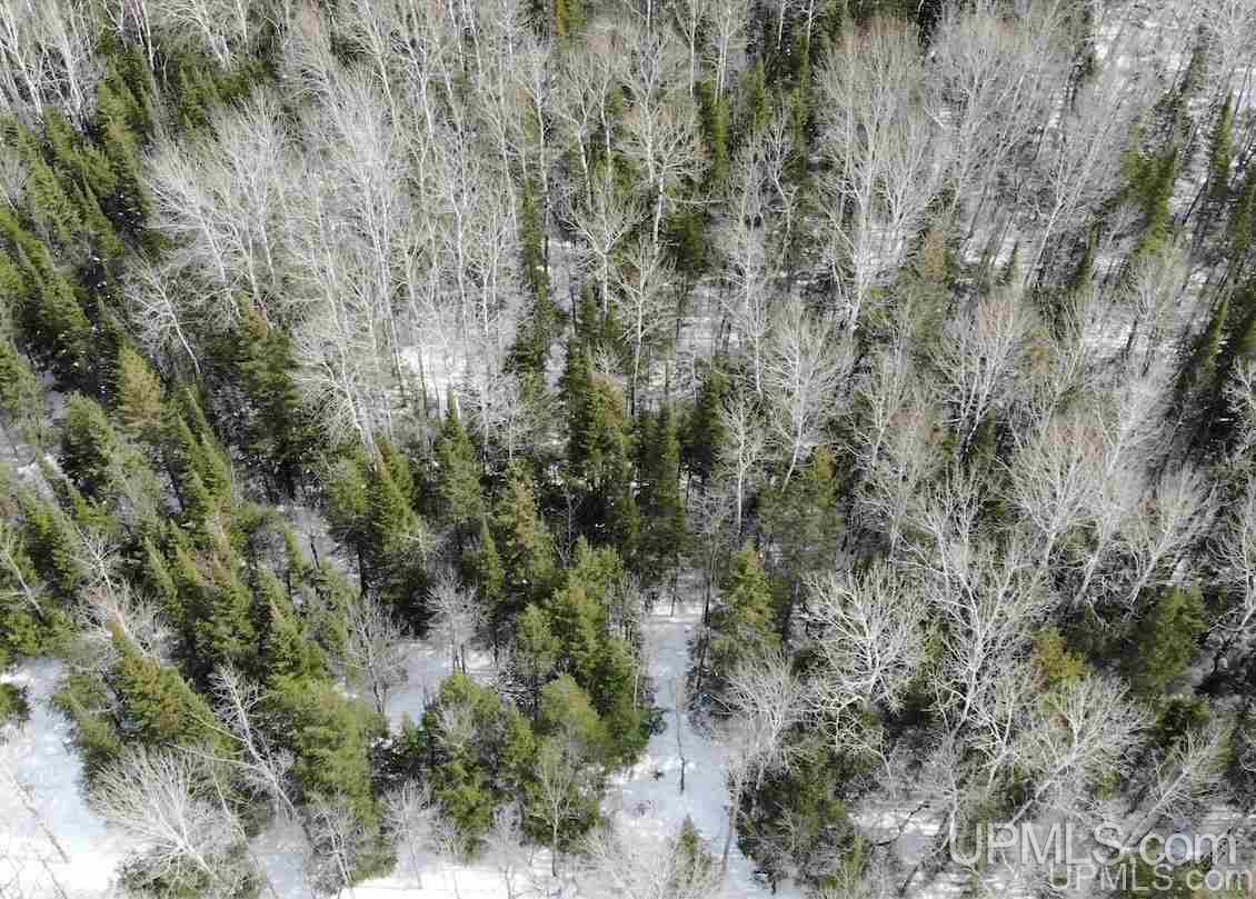 Tbd Dogpatch Road, Unit LOT A Lanse, MI 49946 - Photo 7 of 18