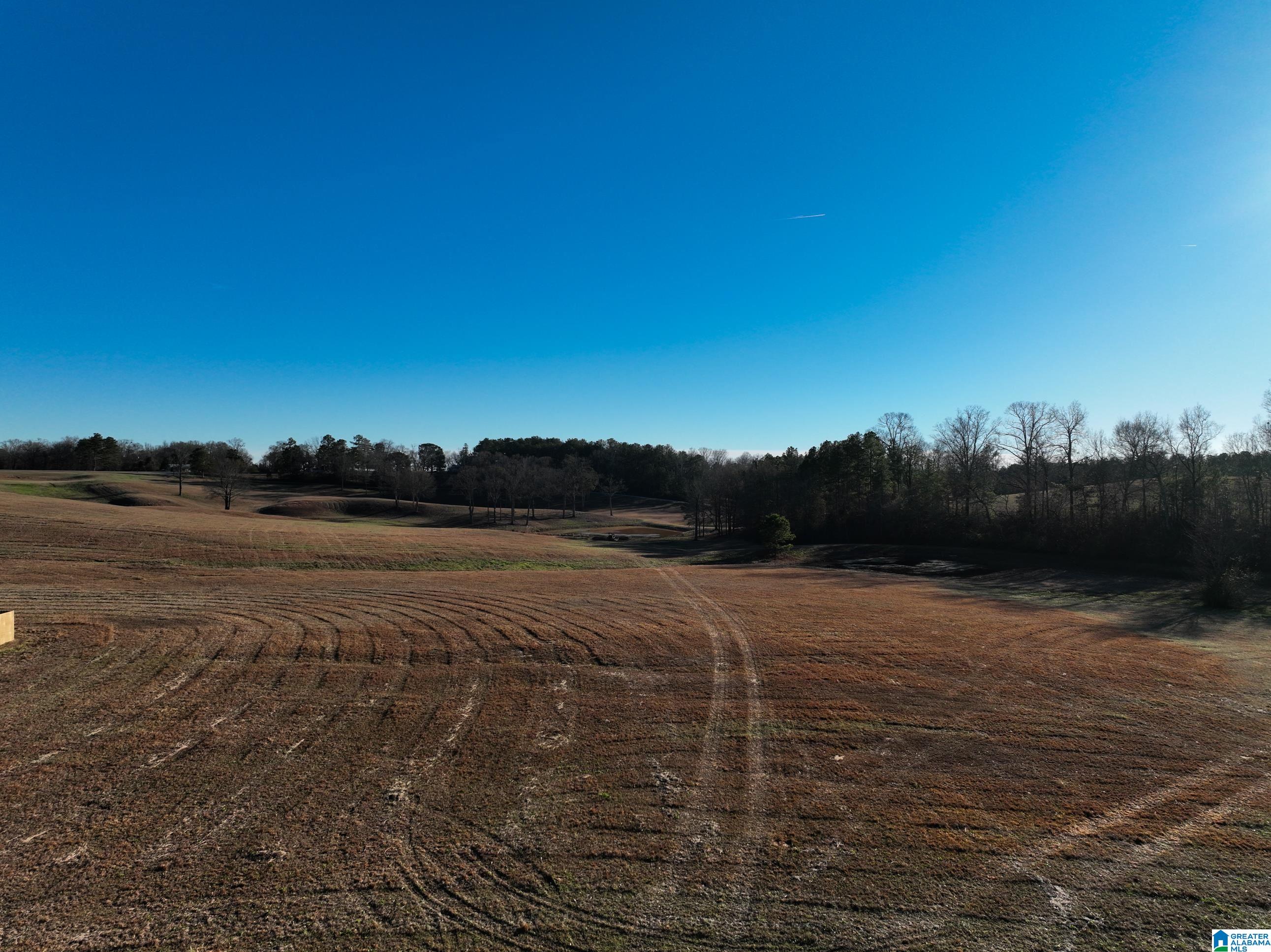 0 Old West Road Thorsby, AL 35171 - Photo 4 of 7