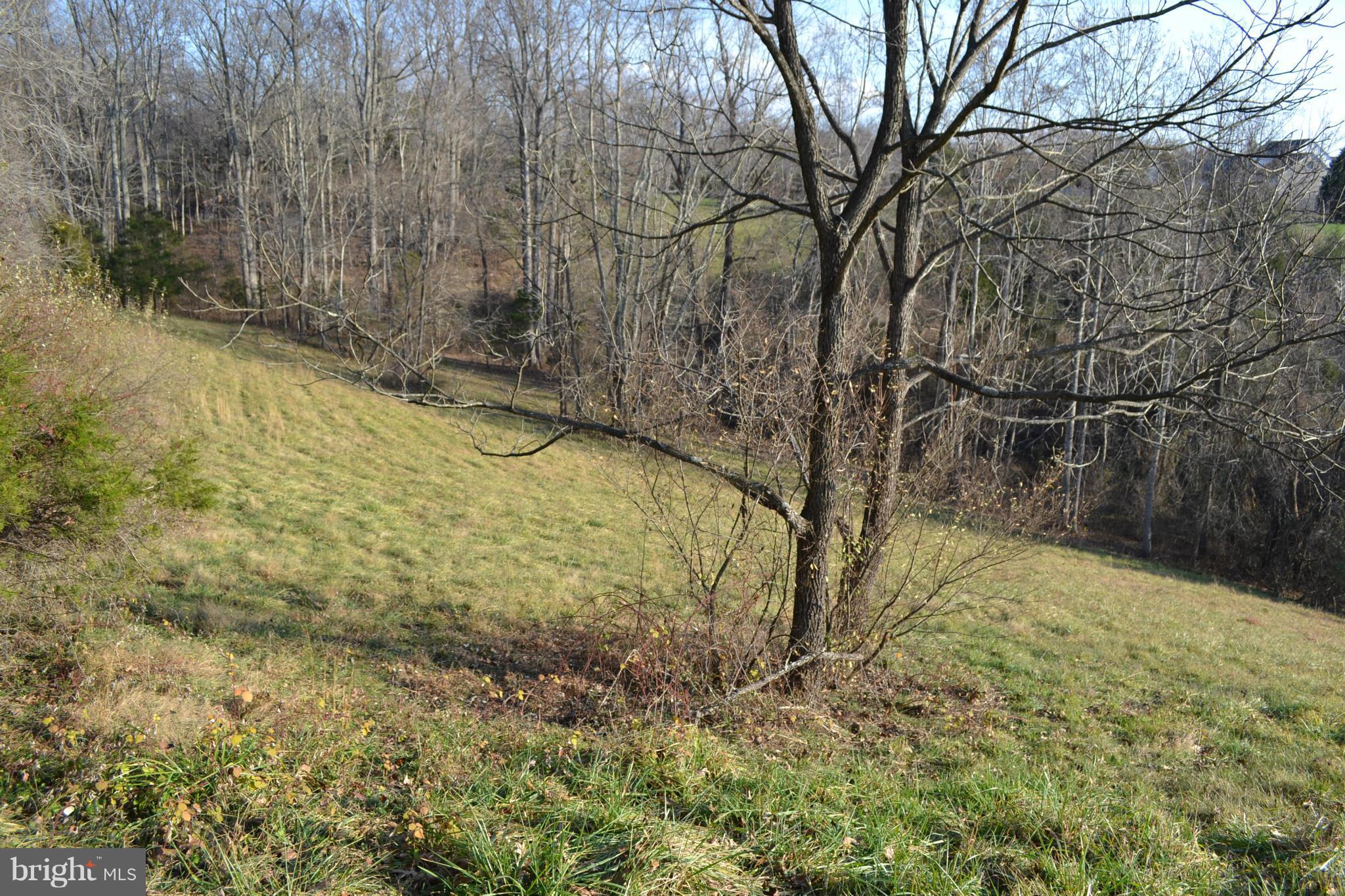 9743 Conde Road Marshall, VA 20115 - Photo 24 of 30 View
