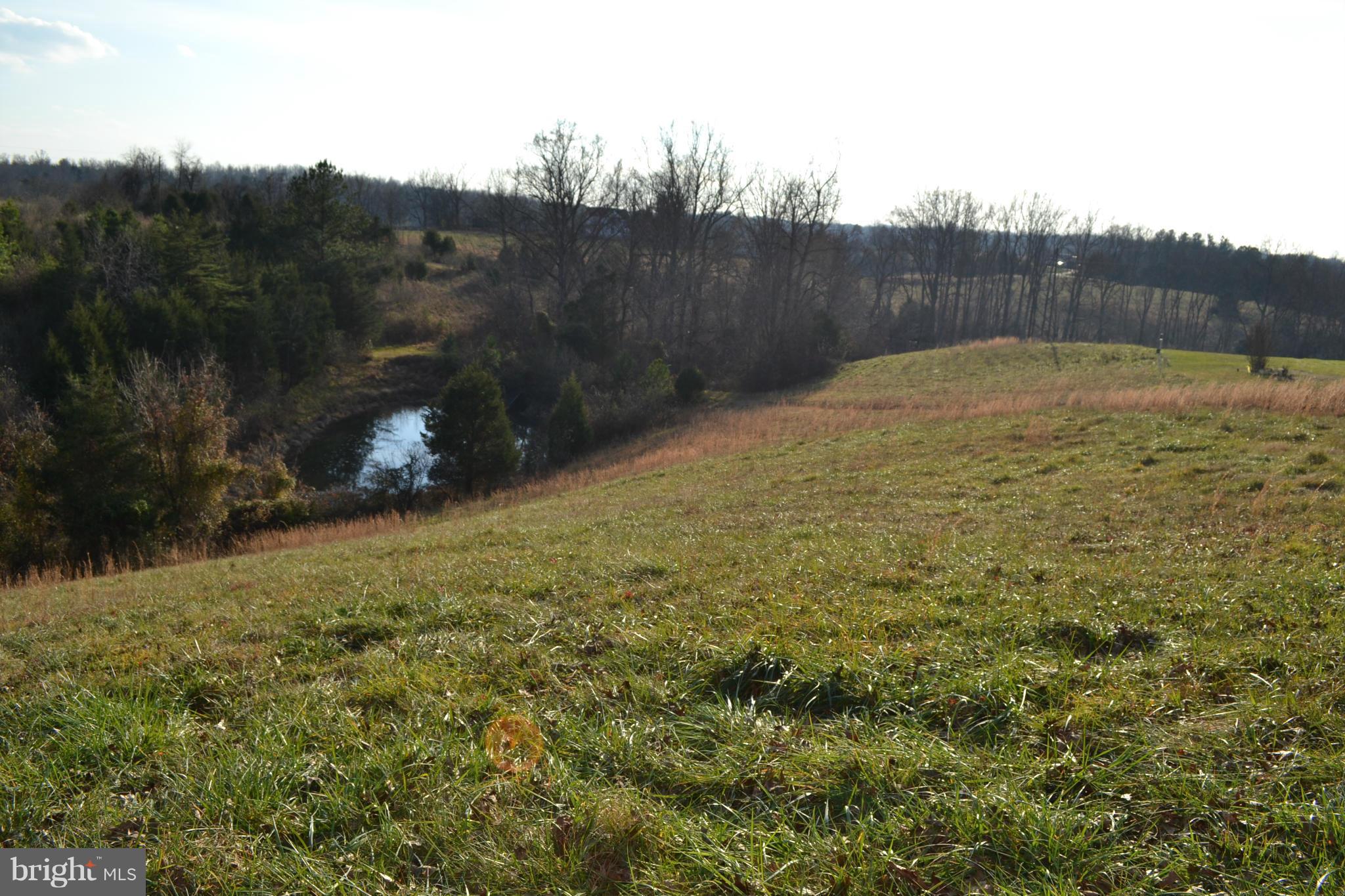 9743 Conde Road Marshall, VA 20115 - Photo 4 of 30 View