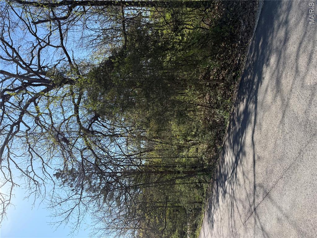 Tbd Rue Charlemagne Bonne Terre, MO 63628 - Photo 2 of 3