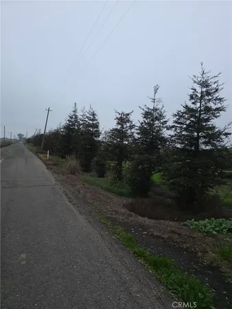 a view of a yard