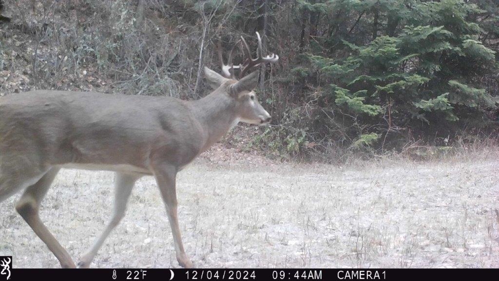 3-xxx Beitey Road Valley, WA 99181 - Photo 19 of 30