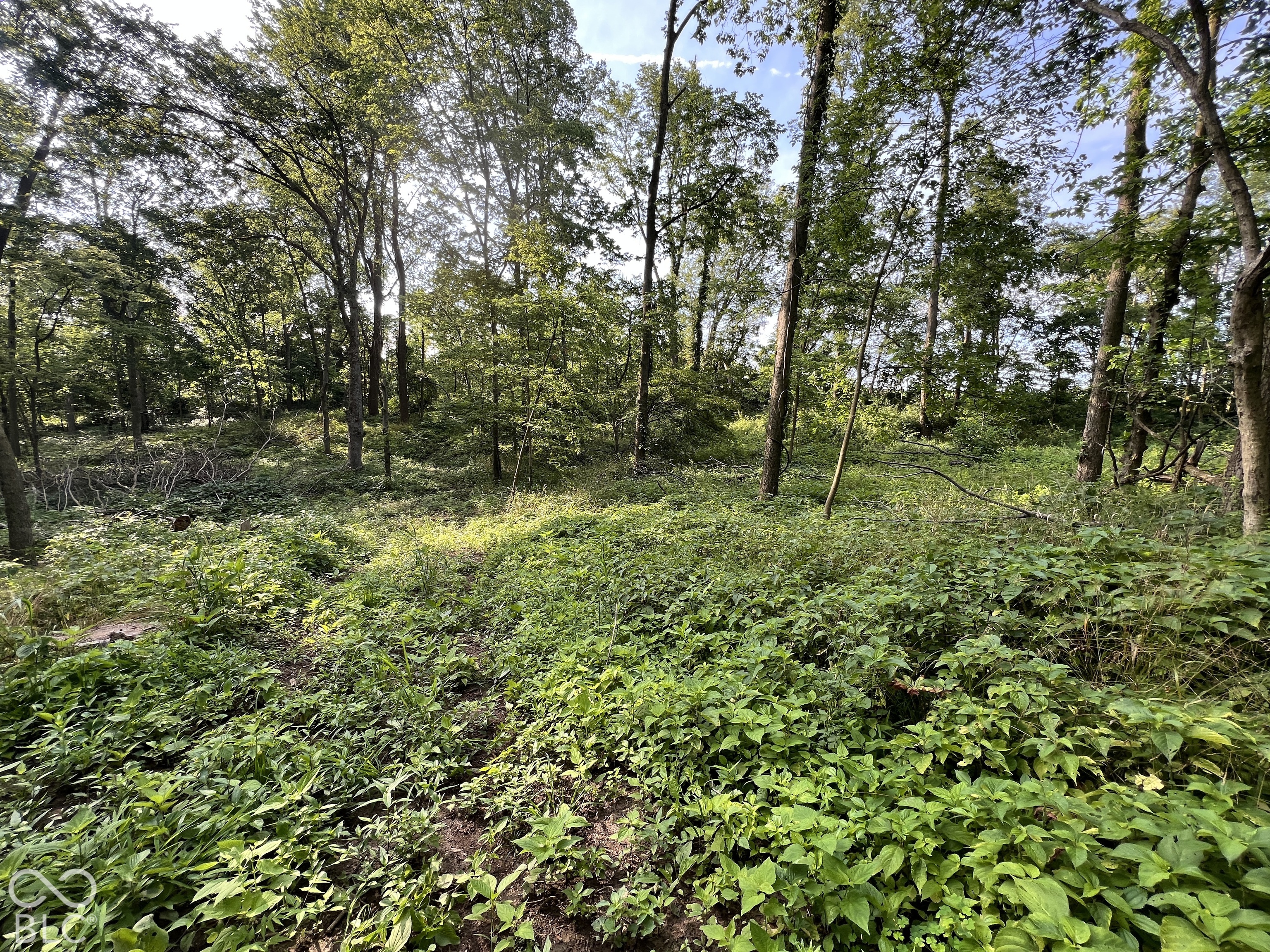 15040 Lindsey Road Milton, IN 47357 - Photo 27 of 46 Gallery Image 27