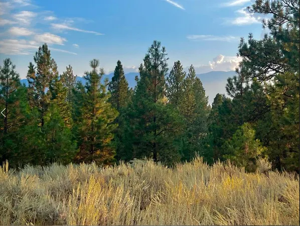 $150,000 | 30 4 Seasons Drive, Unit 12, Cascade, ID 83611