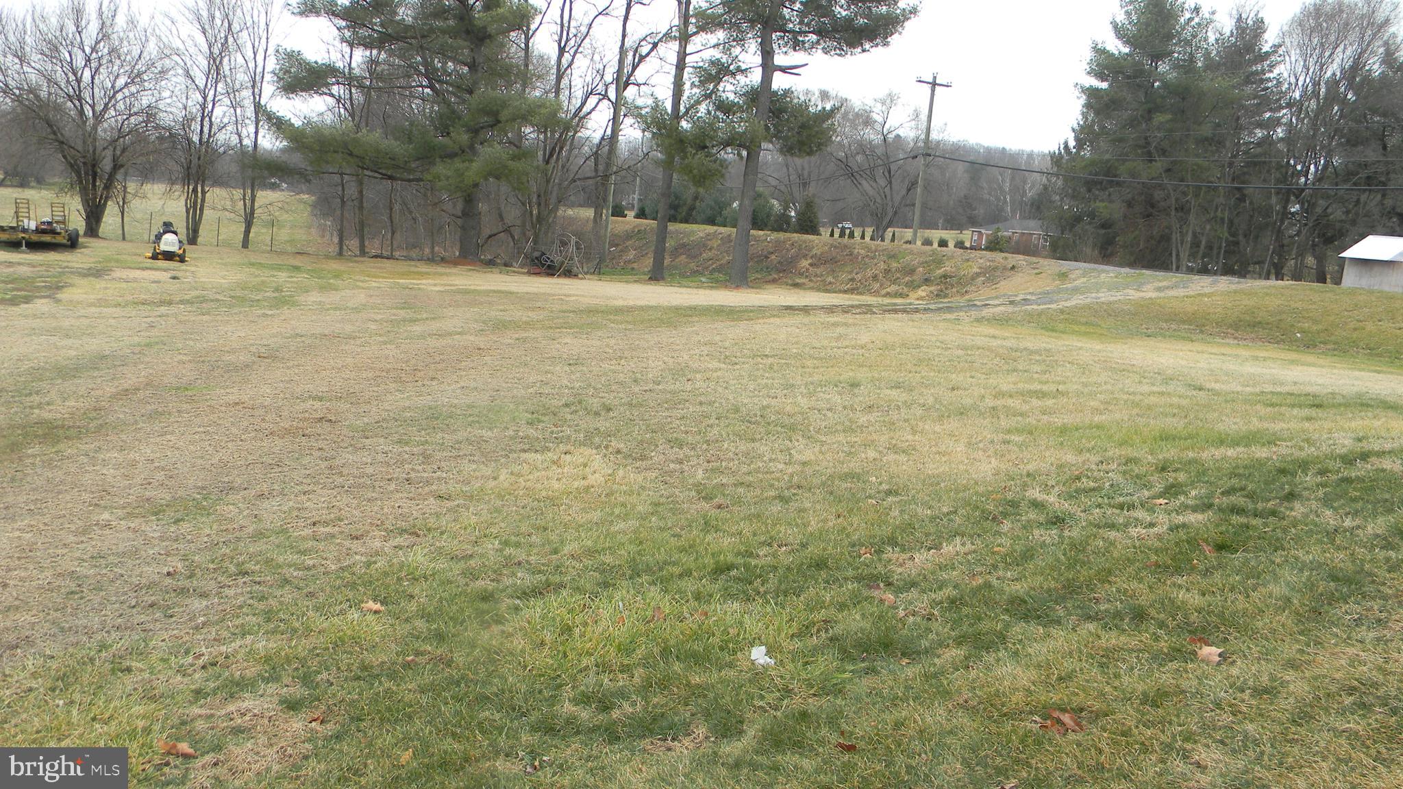6688 Brocks Gap Road Broadway, VA 22815 - Photo 76 of 81 a view of a yard with trees