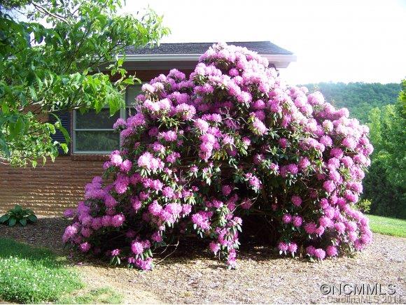 914 Old Fort Road Fairview, NC 28730 - Photo 23 of 24 Gallery Image 23