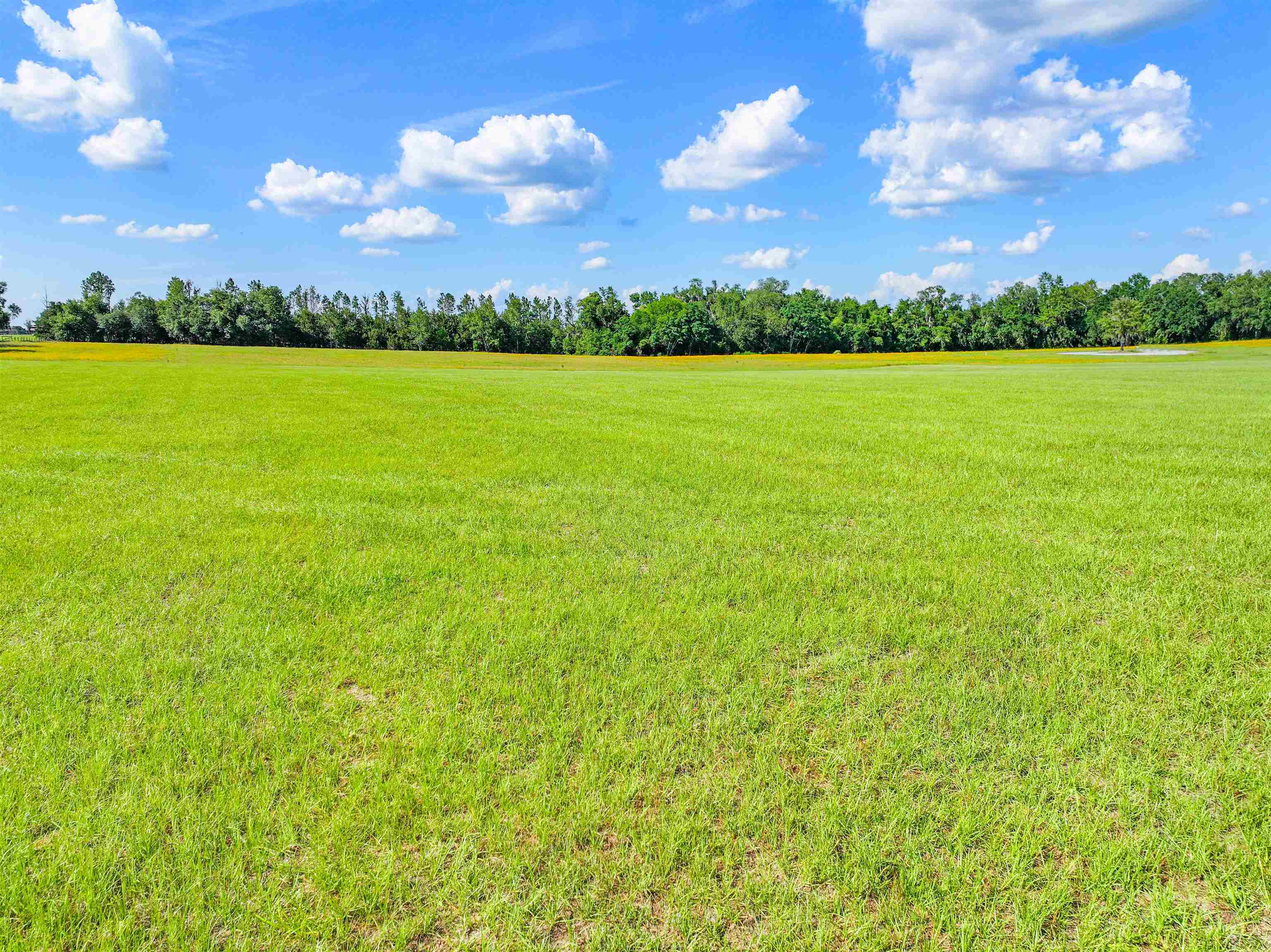 0 Northwest Loper Plantation Road Madison, FL 32340 - Photo 3 of 16