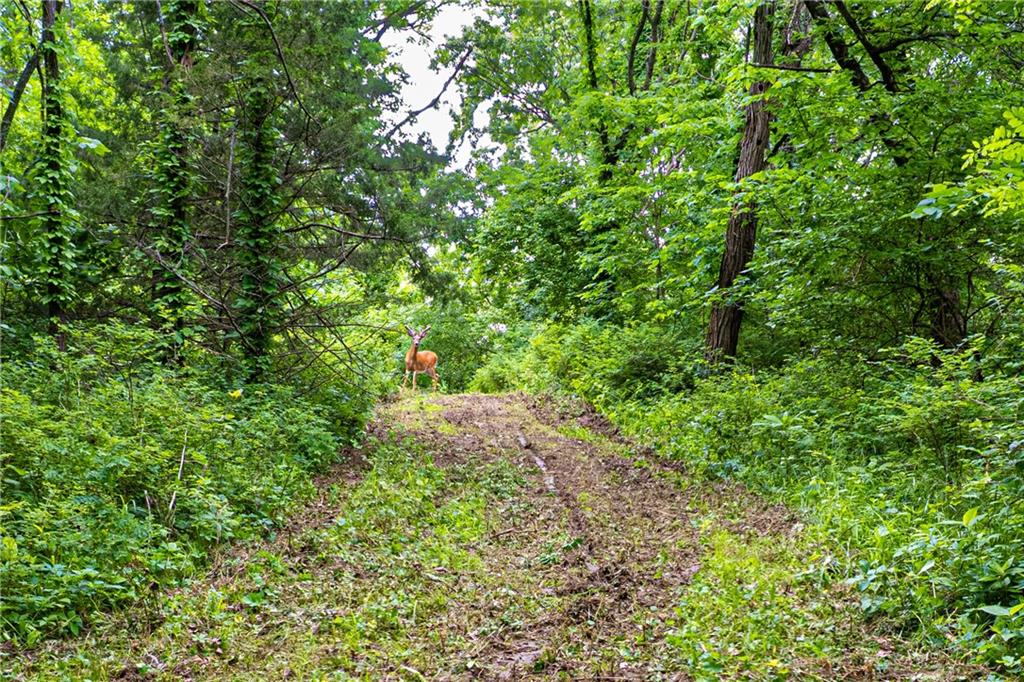 1449 Southeast Turner Road St. Joseph, MO 64504 - Photo 7 of 18