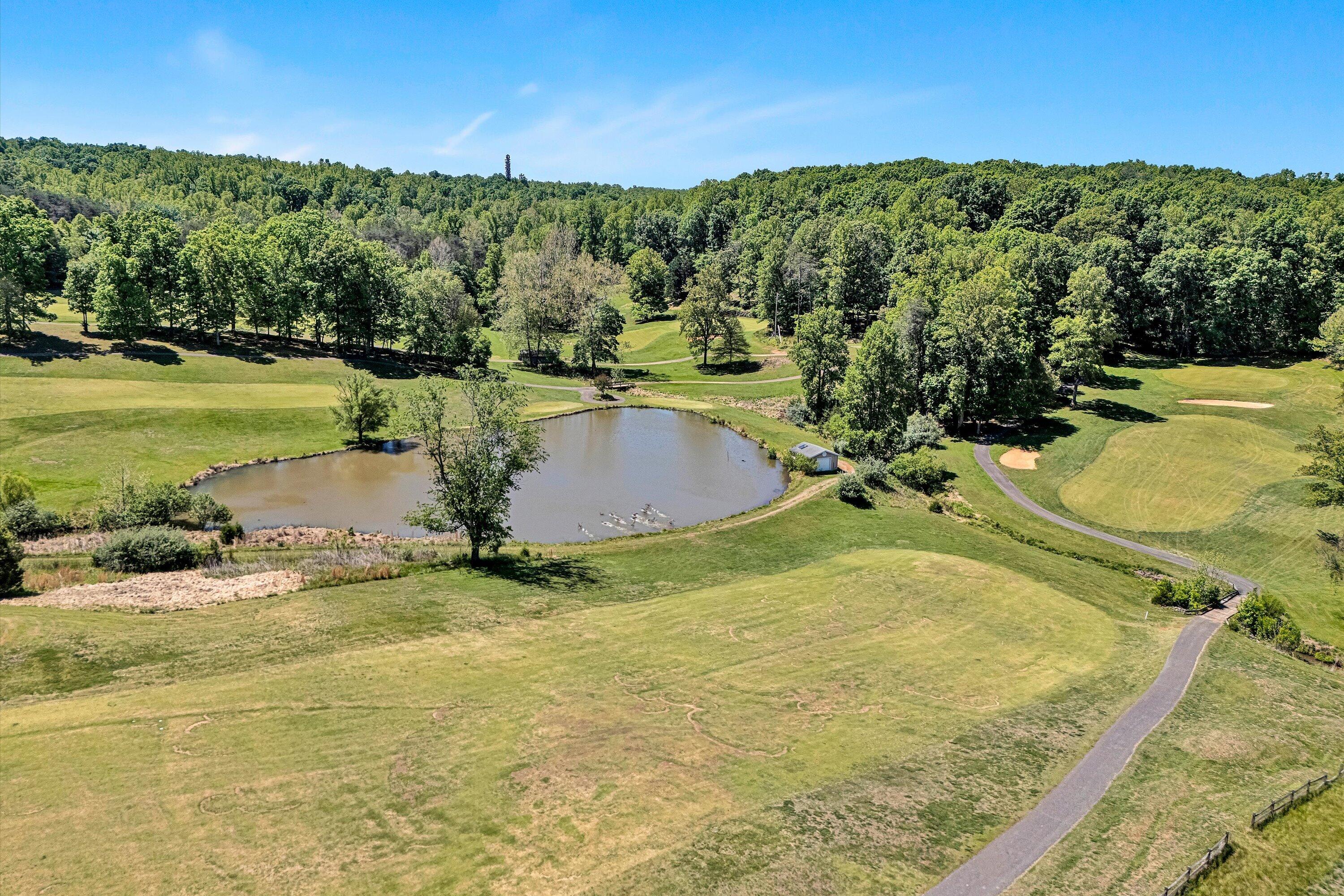 915 Morewood Road Hardy, VA 24101 - Photo 55 of 58 a view of a swimming pool with a yard