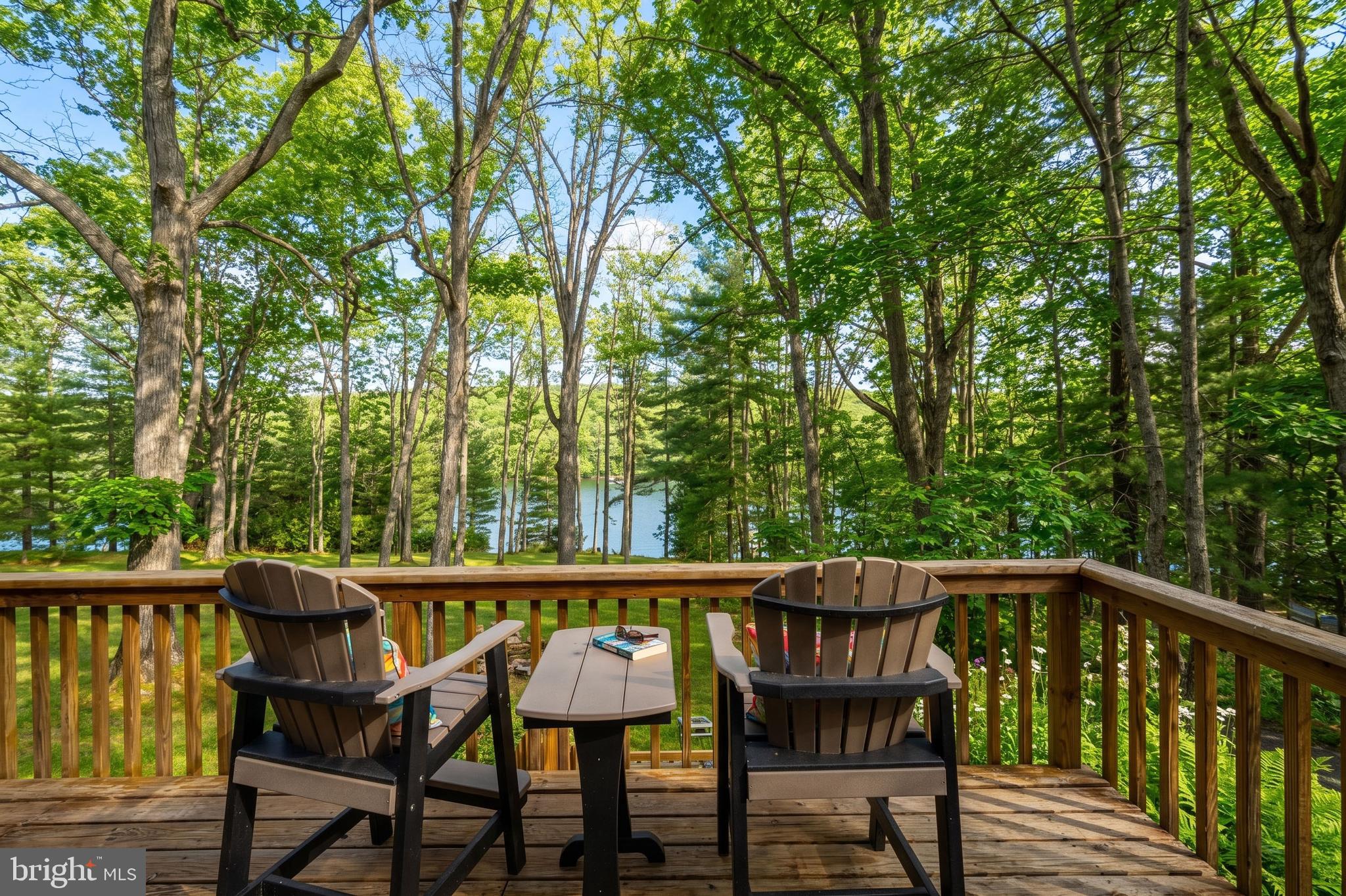 340 South Shore Road Swanton, MD 21561 - Photo 52 of 80