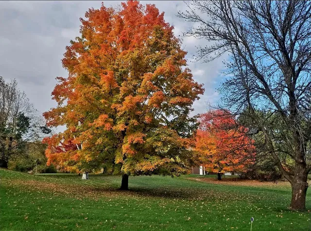 $798,000 | 7331 175th Avenue Northwest, Ramsey, MN 55303