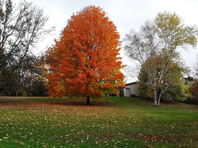 $798,000 | 7331 175th Avenue Northwest, Ramsey, MN 55303