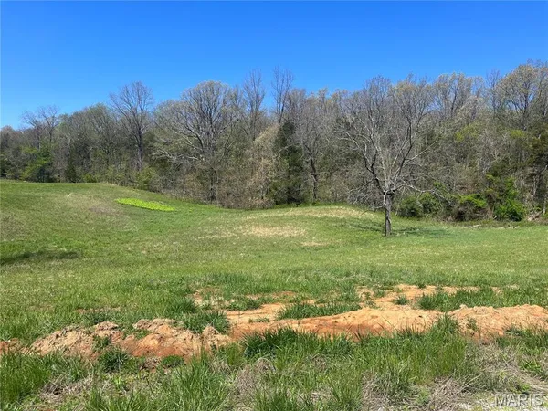 $60,000 | 7 Cr 528 Fredericktown Mo 63645, Fredericktown, MO 63645