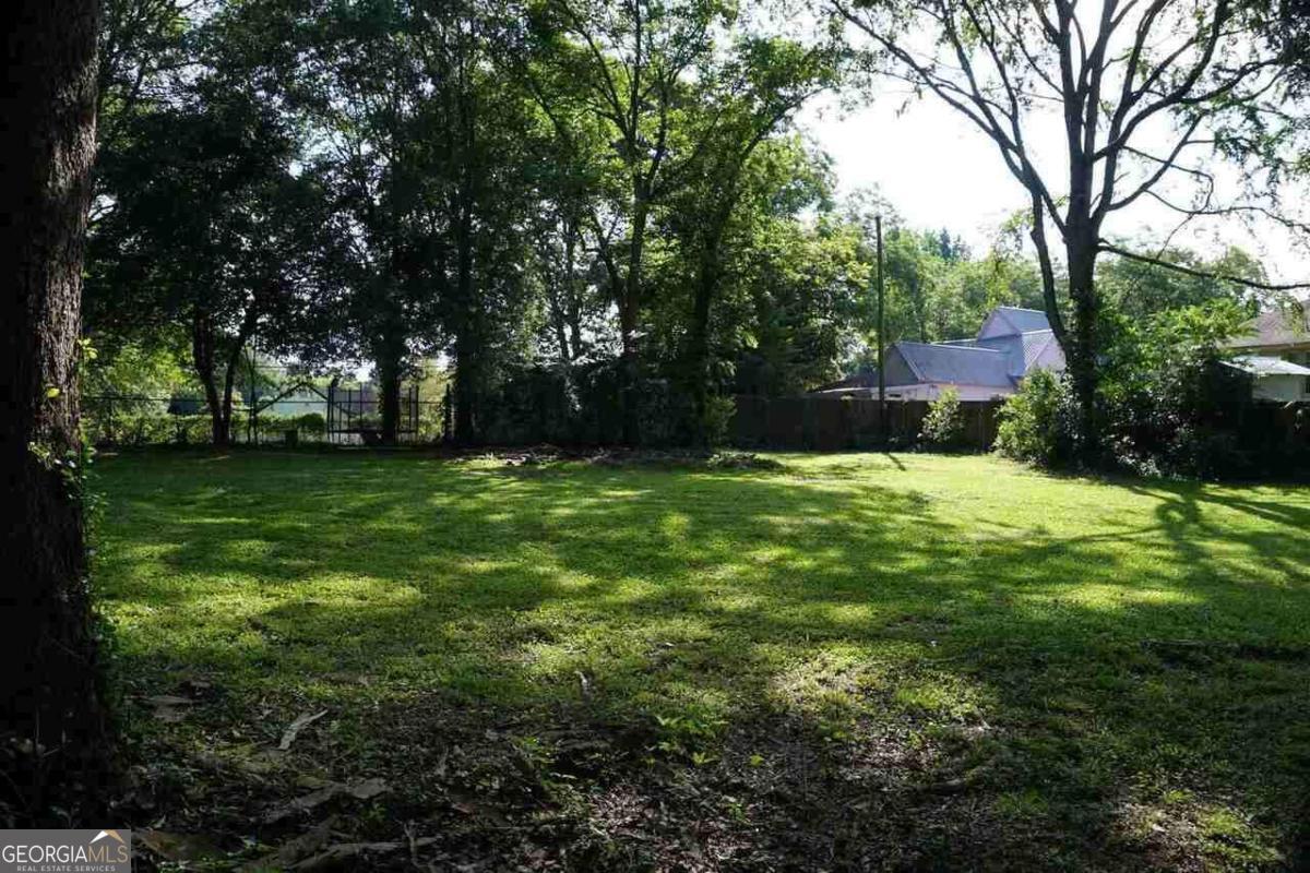 0 Jerome Street Winder, GA 30680 - Photo 3 of 6