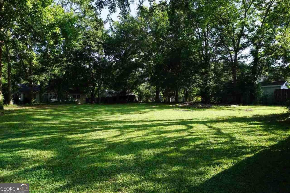 0 Jerome Street Winder, GA 30680 - Photo 6 of 6