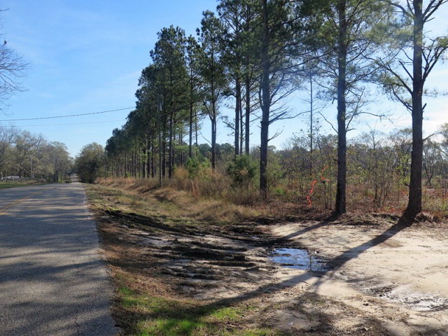0 Bruner Road Dothan, AL 36301 - Photo 1 of 1