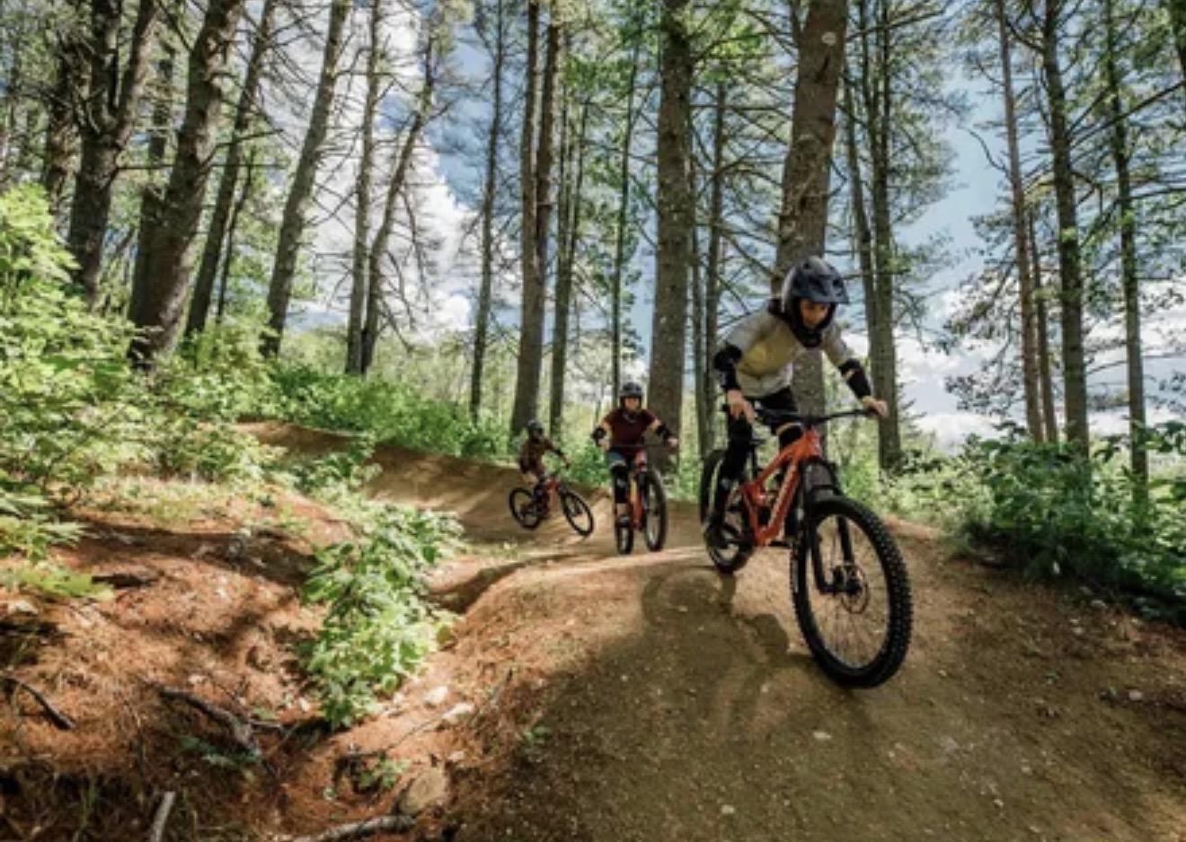 239 Skimobile Road, Unit 302 Conway, NH 03860 - Photo 35 of 52