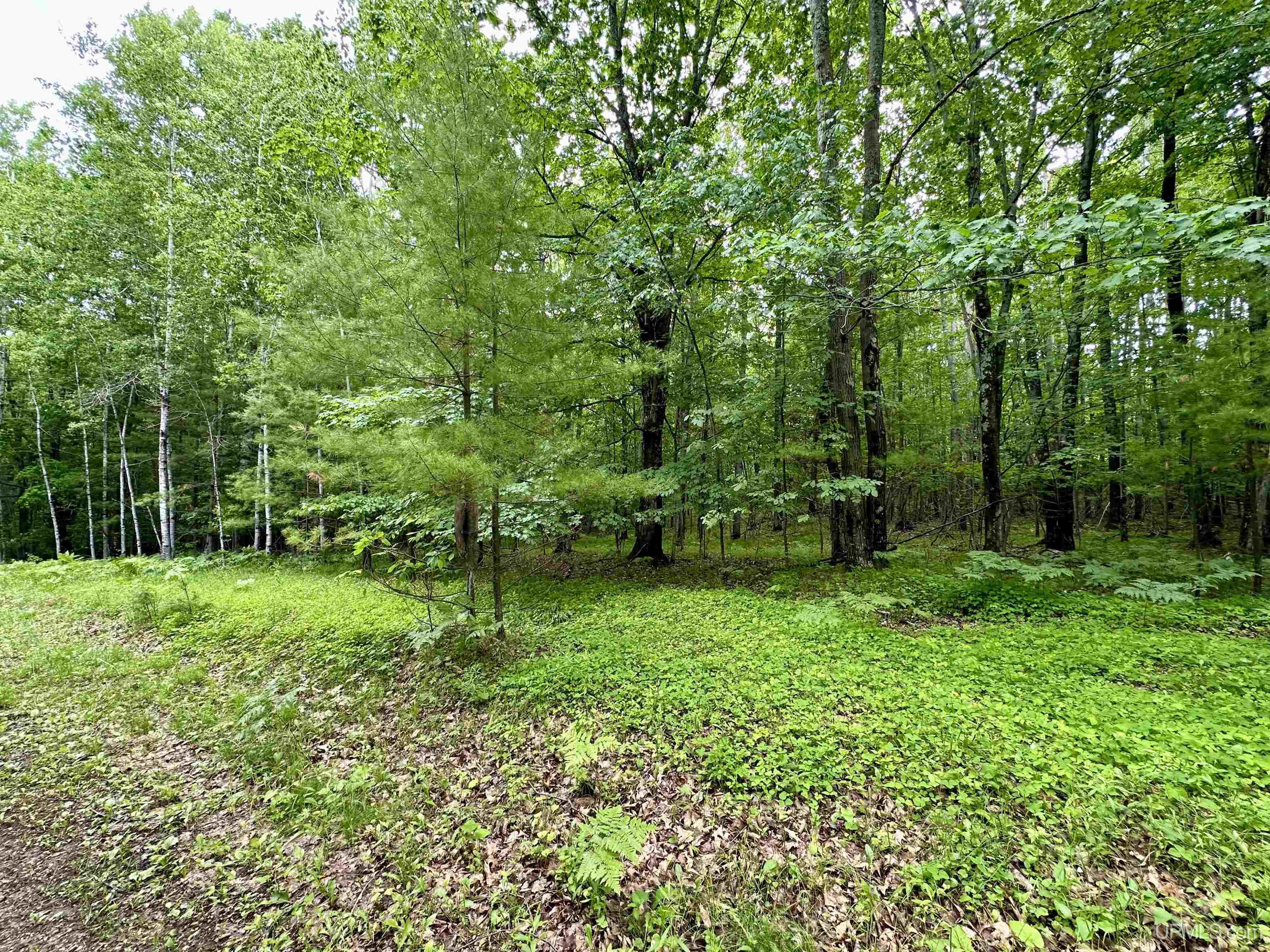 Tbd Tbd Homestead Road Vulcan, MI 49892 - Photo 4 of 10