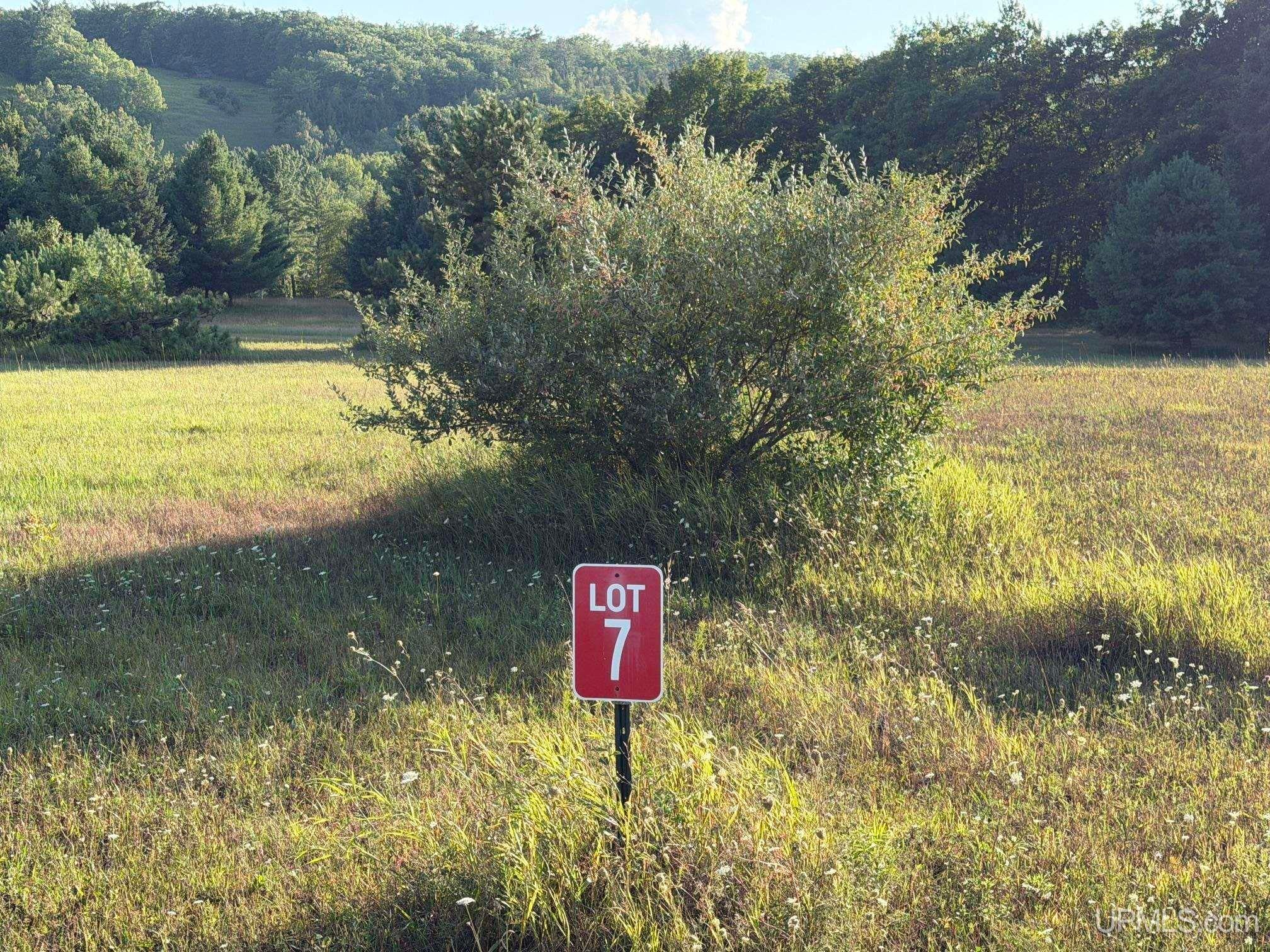 Lot 7 Ski View Road Vulcan, MI 49892 - Photo 3 of 8 Gallery Image 3