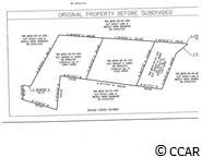 2 Riverbend Road Loris, SC 29569 - Photo 1 of 4 Gallery Image 1