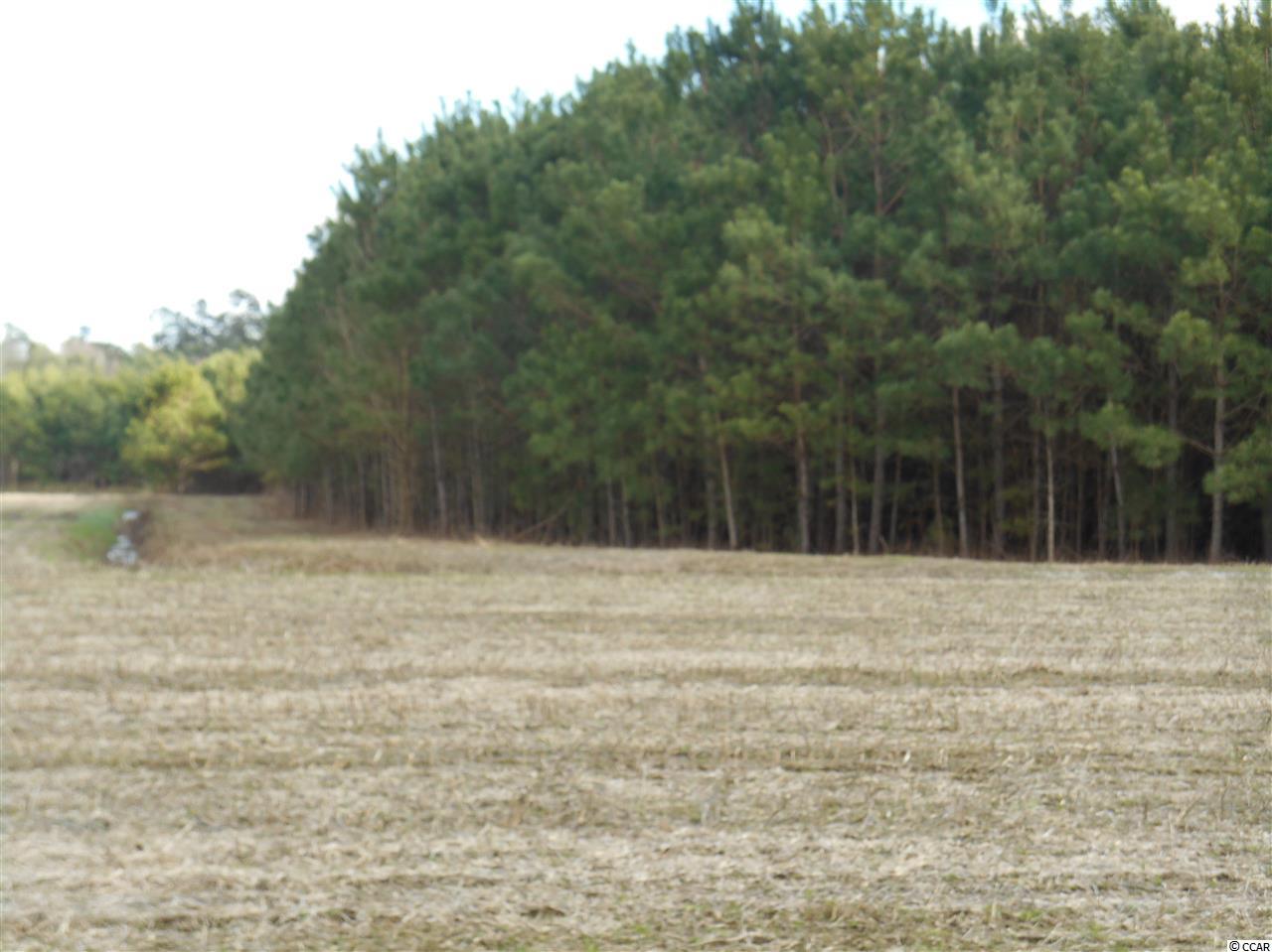 2 Riverbend Road Loris, SC 29569 - Photo 2 of 4 Gallery Image 2