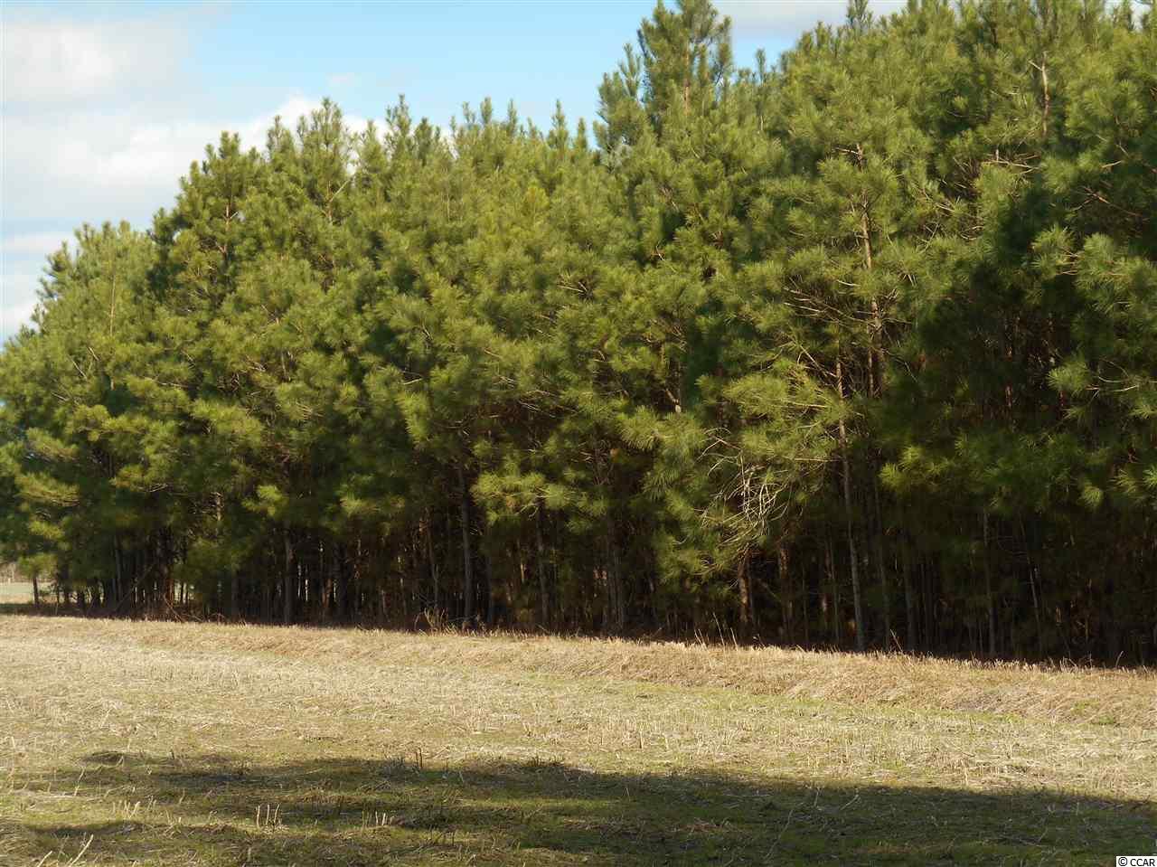 2 Riverbend Road Loris, SC 29569 - Photo 3 of 4 Gallery Image 3