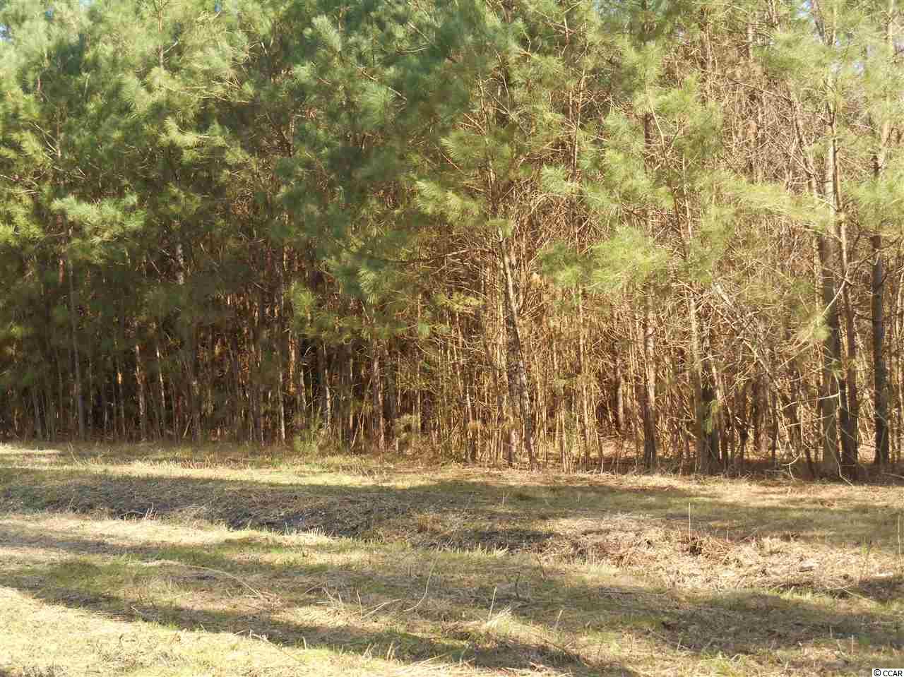 2 Riverbend Road Loris, SC 29569 - Photo 4 of 4 Gallery Image 4
