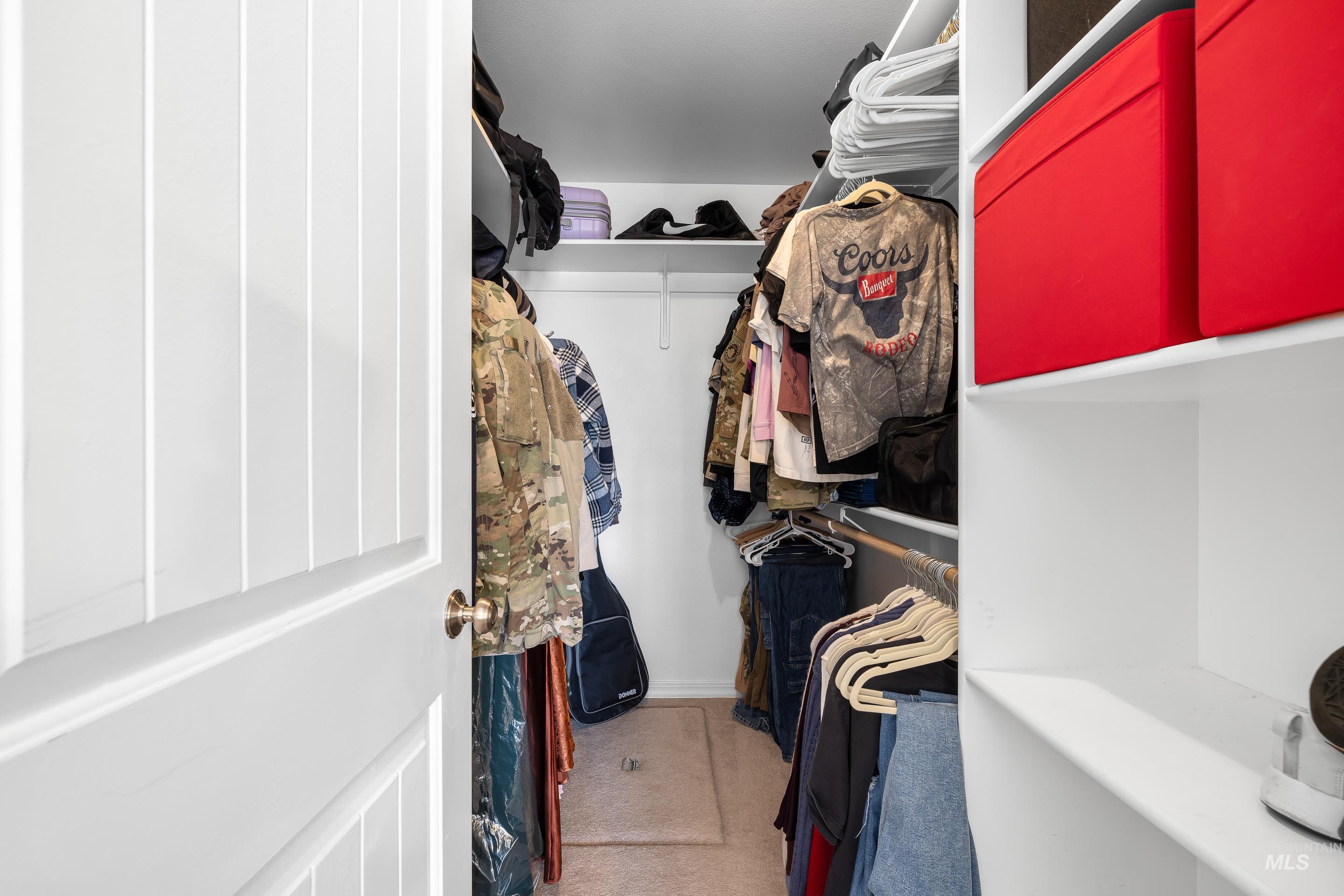 215 Northeast Rosa Court Mountain Home, ID 83647 - Photo 24 of 39 Walk in closet with light carpet