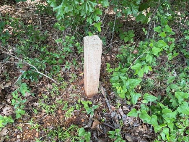 0 Marsalis Road Arcadia, LA 71001 - Photo 12 of 16