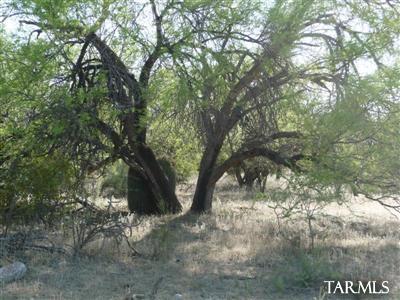 0 East Derrio Canyon Road Marana, AZ 85658 - Photo 5 of 11